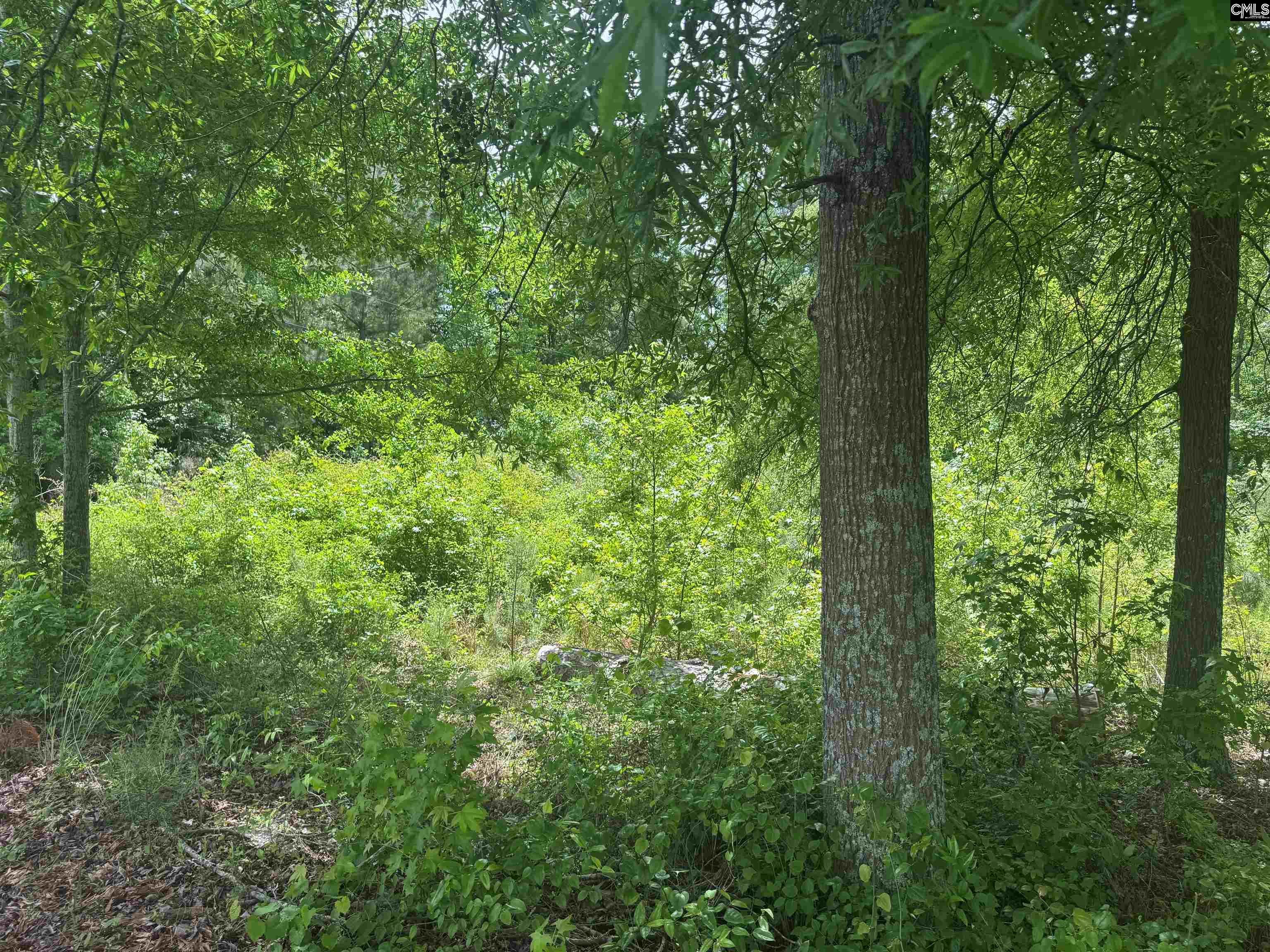 451 Kendall Drive UNIT Part 5&6 Batesburg, SC 29006