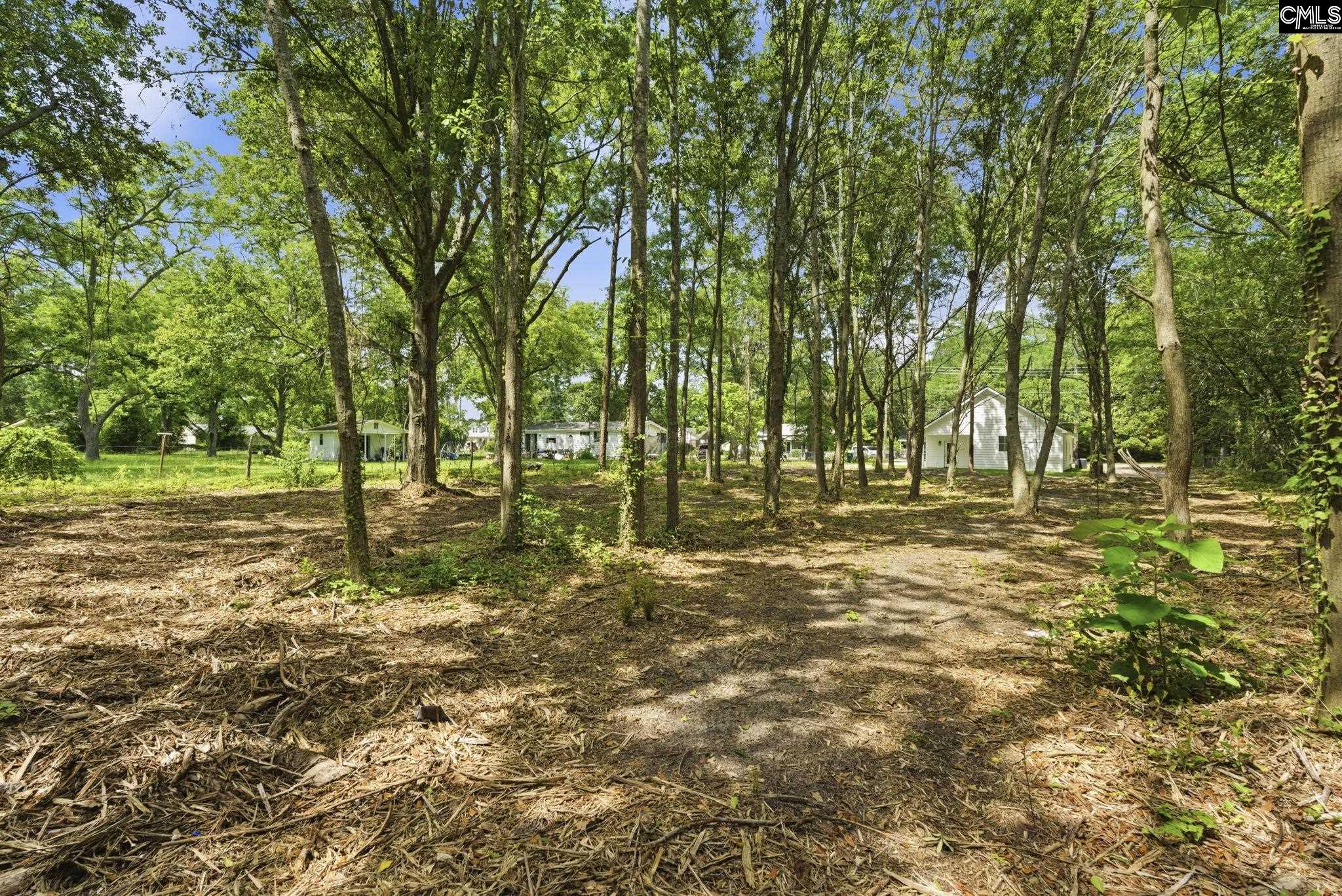 125 S East Avenue Leesville, SC 29070