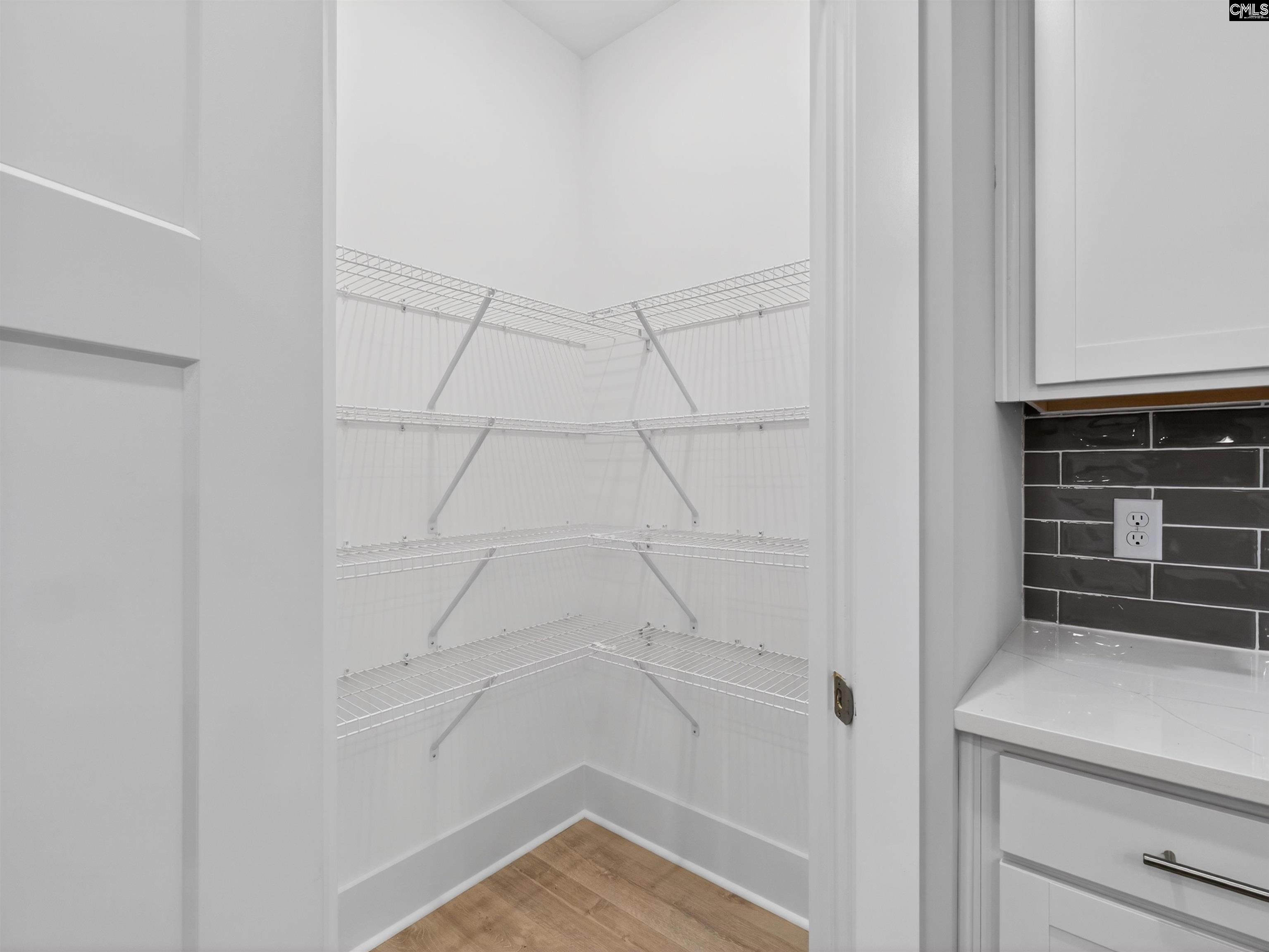 20 Elk Run Court Chapin, SC 29036