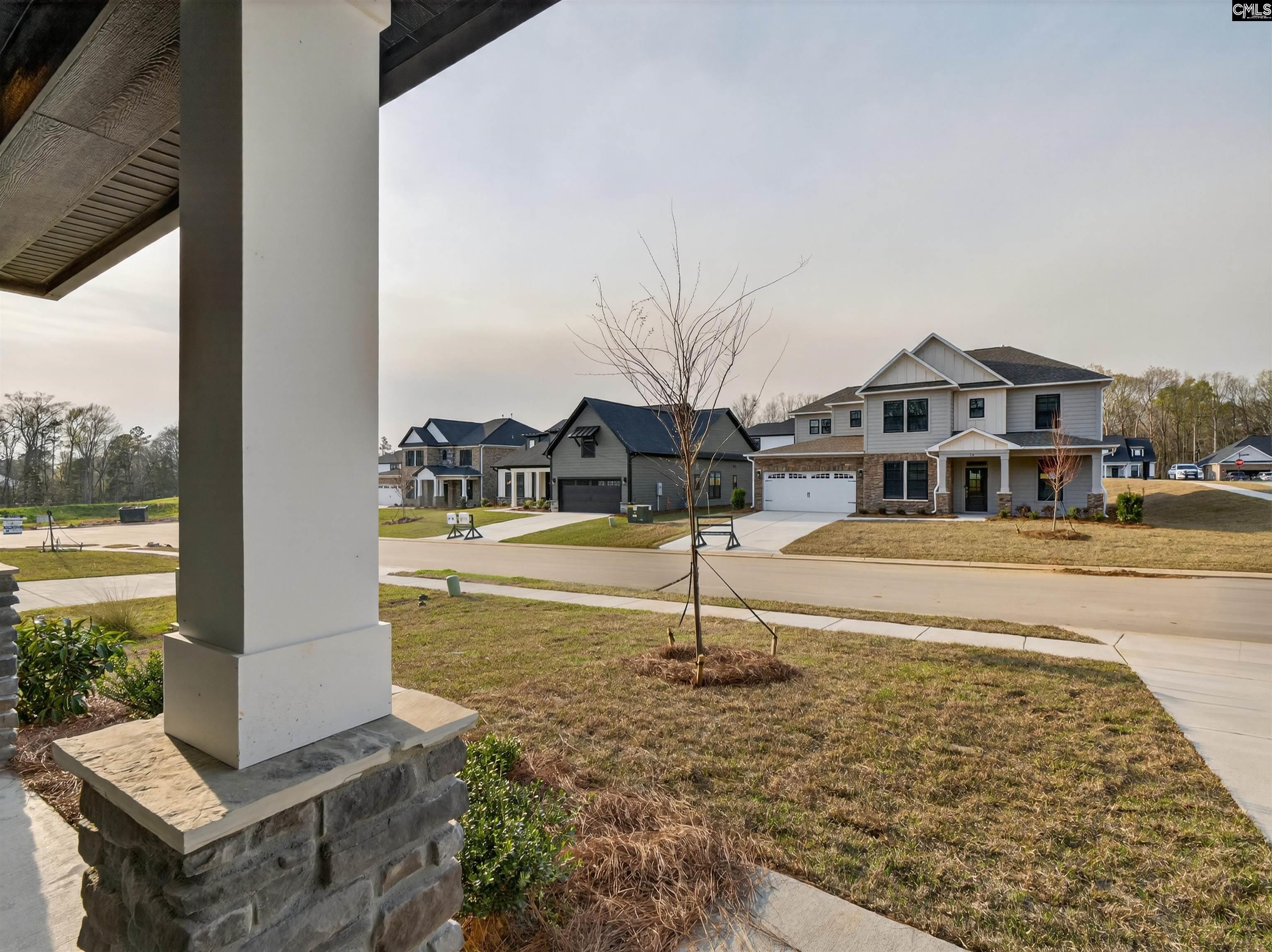 20 Elk Run Court Chapin, SC 29036