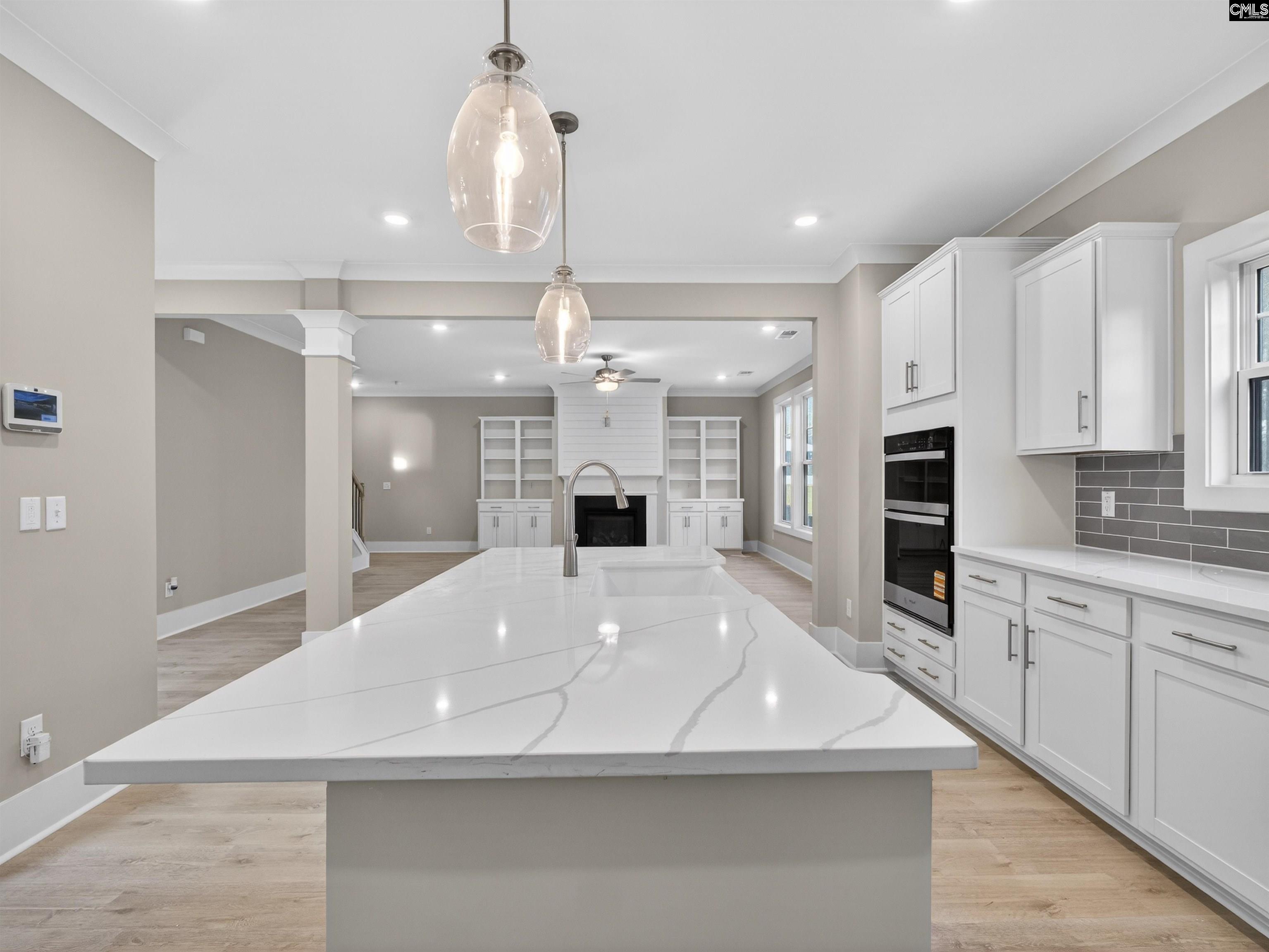 20 Elk Run Court Chapin, SC 29036