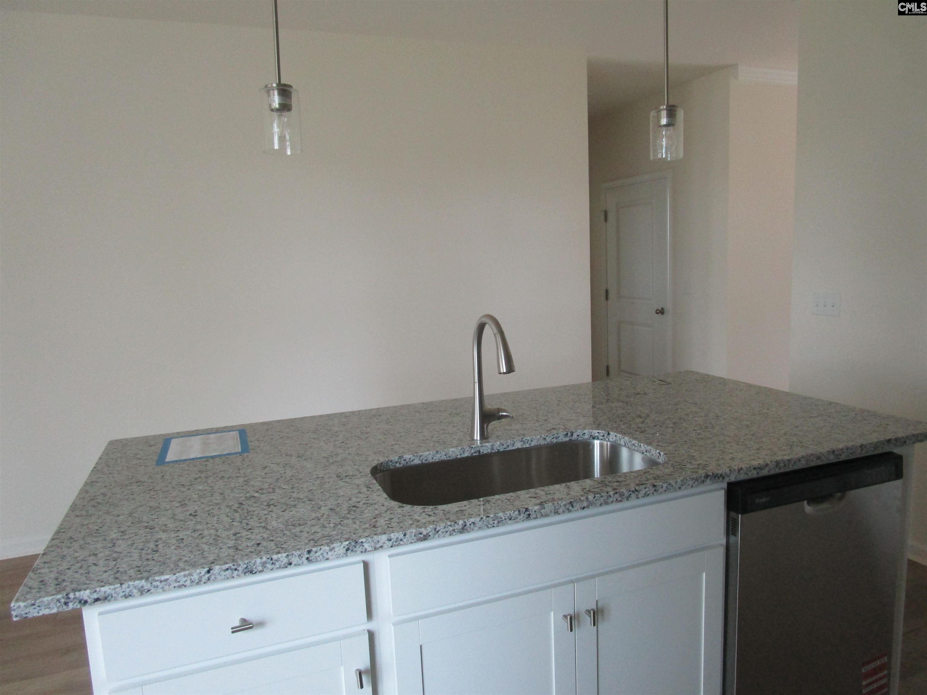 575 Griffon Drive Chapin, SC 29036