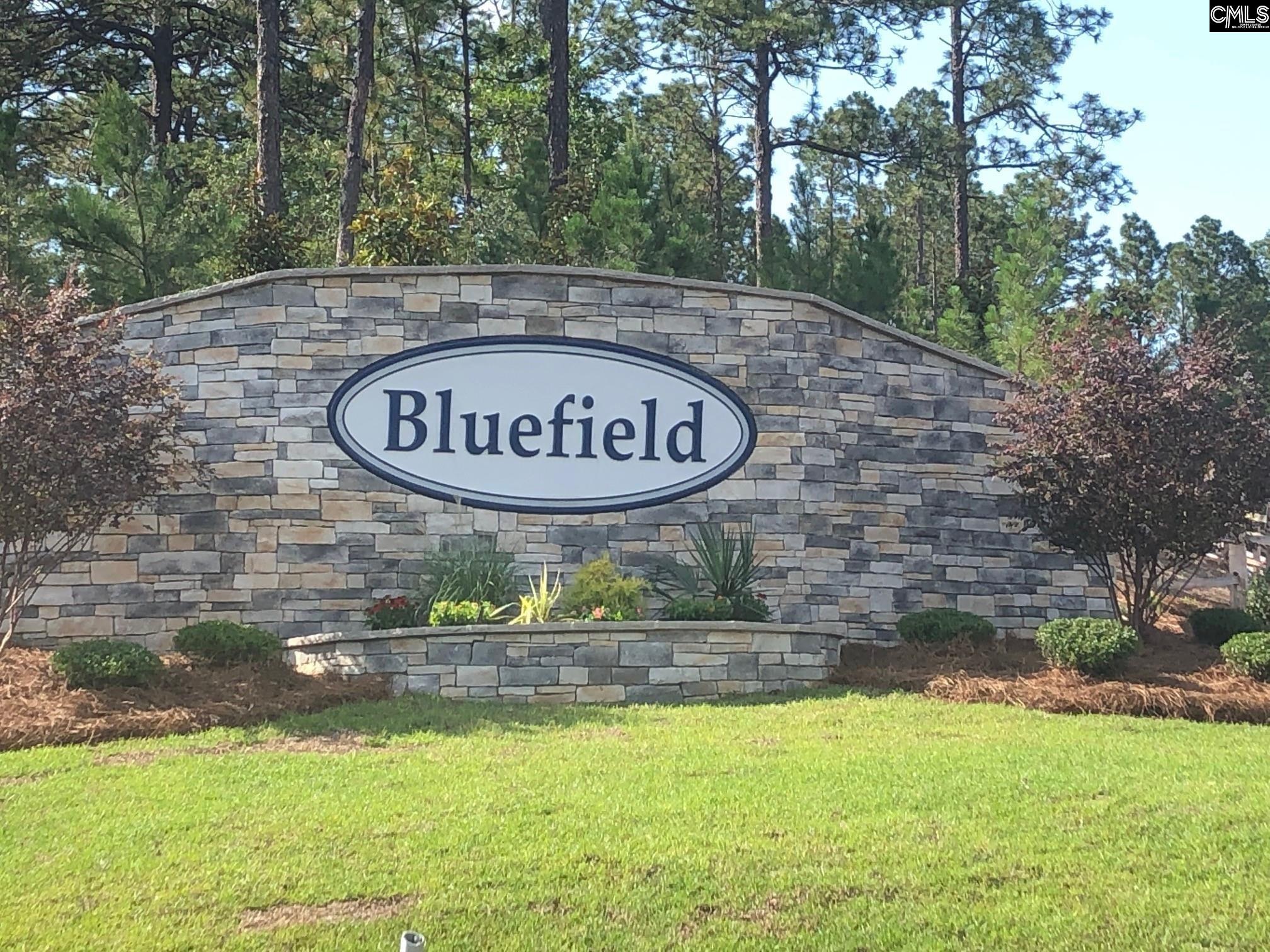 3519 Stedding Place Lexington, SC 29073