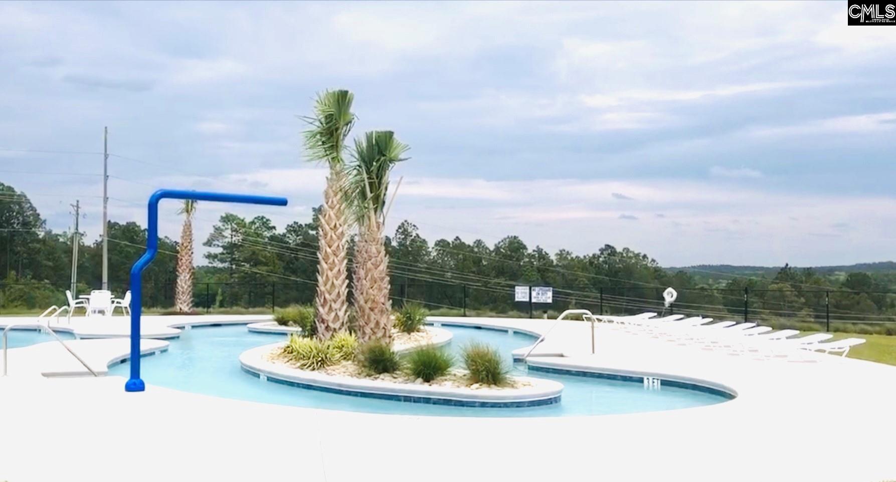 3519 Stedding Place Lexington, SC 29073