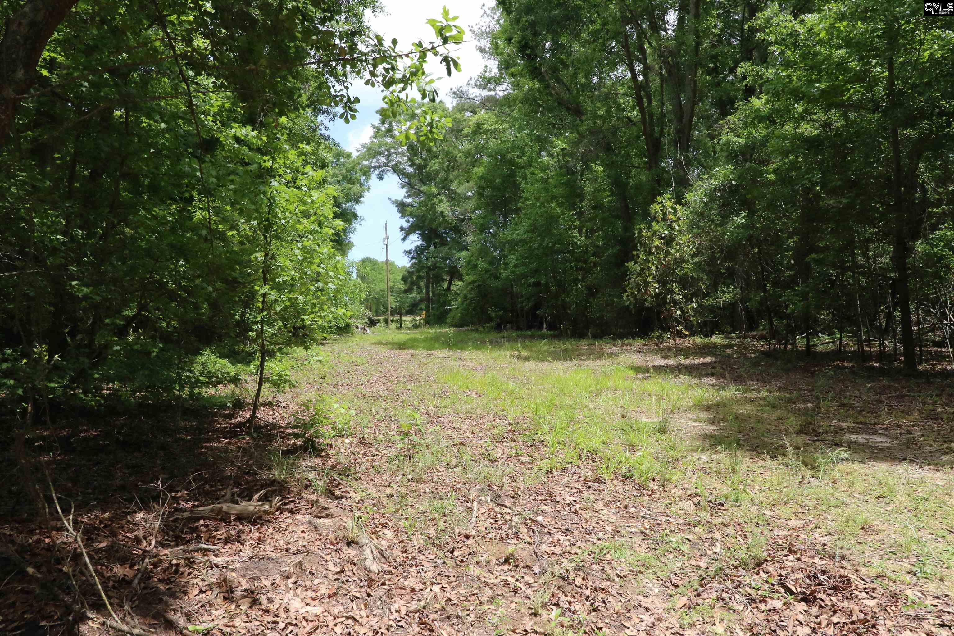 1091 Pine Grove Road Leesville, SC 29070
