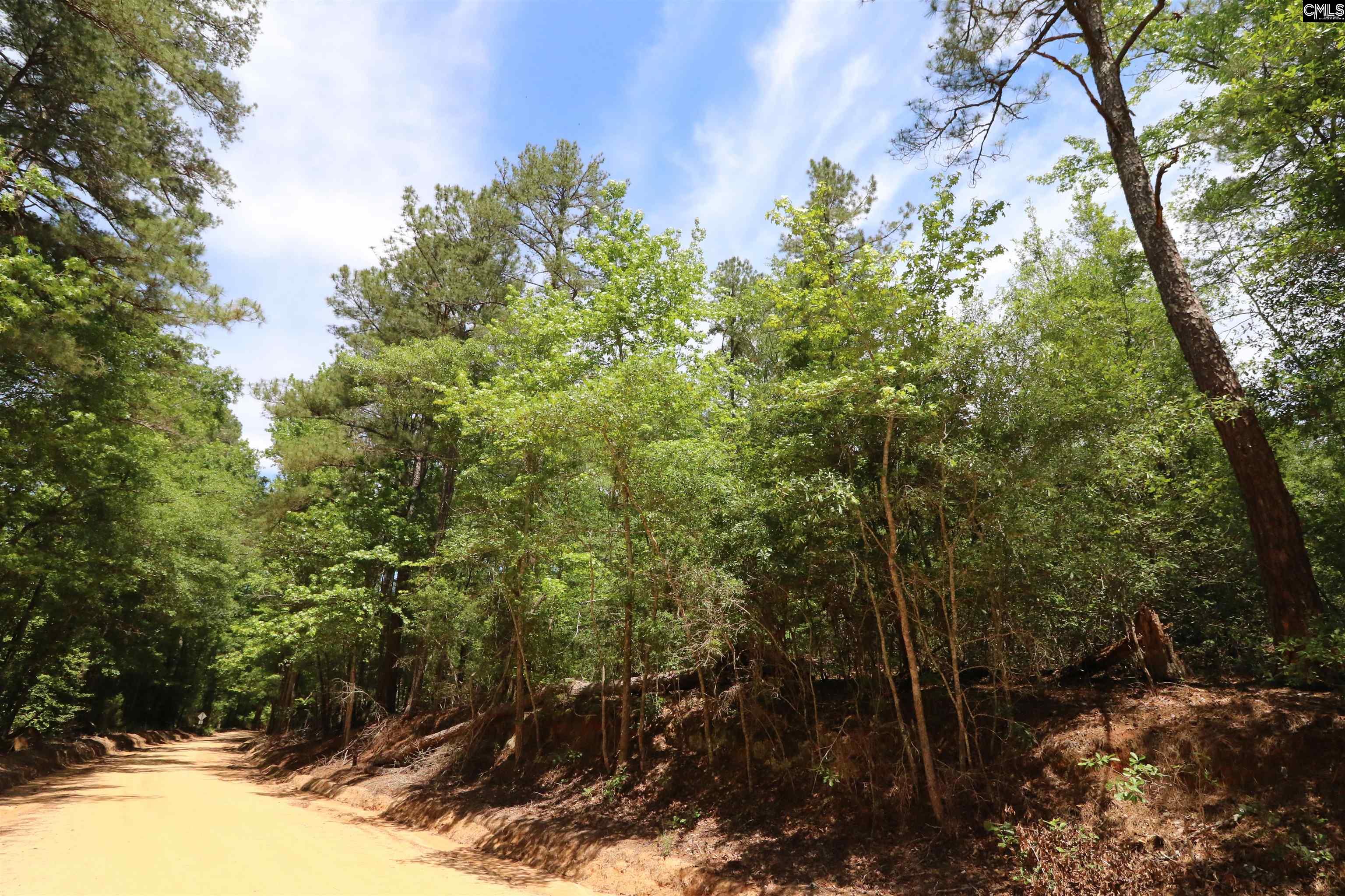 1091 Pine Grove Road Leesville, SC 29070