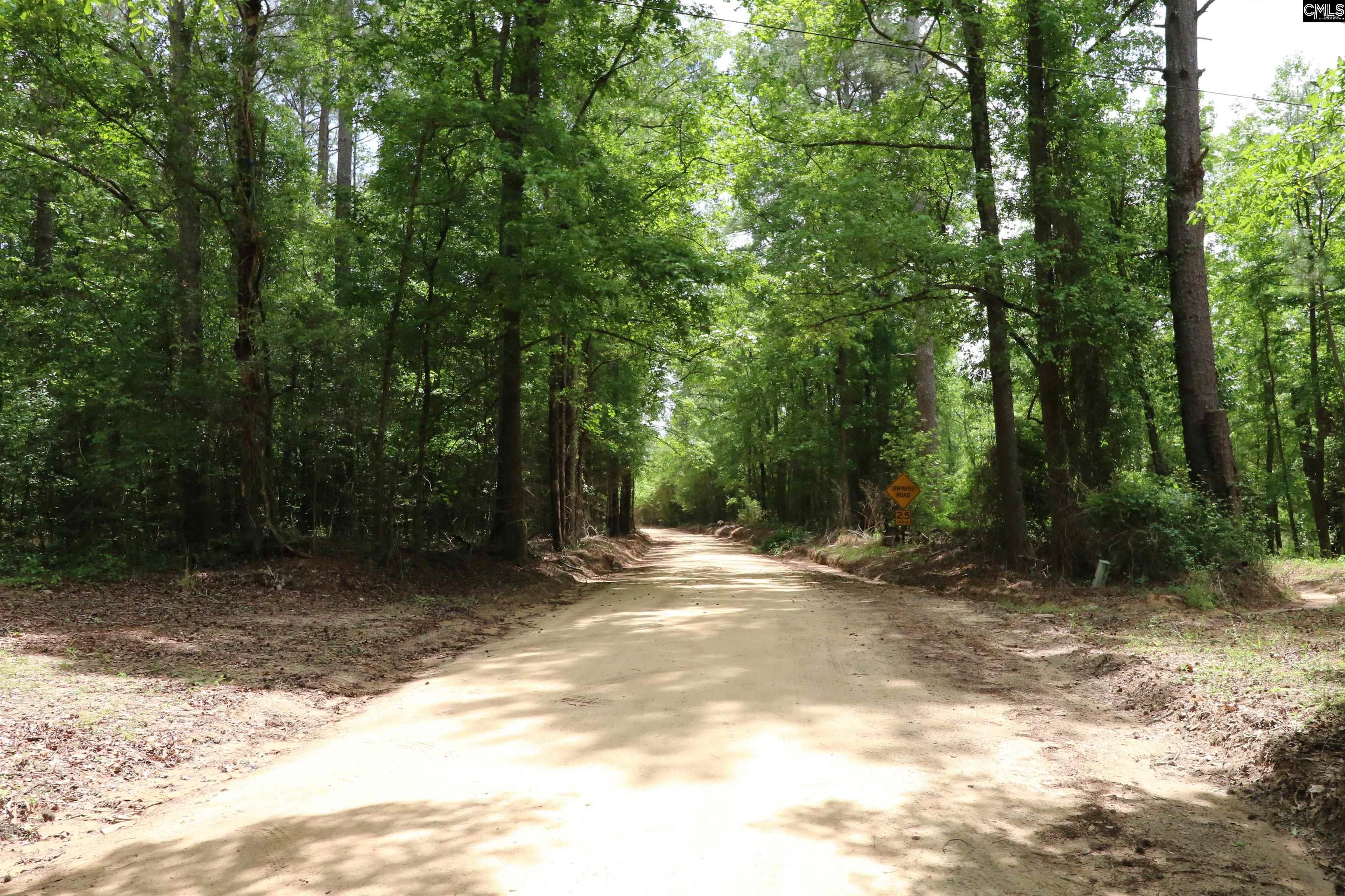 1091 Pine Grove Road Leesville, SC 29070