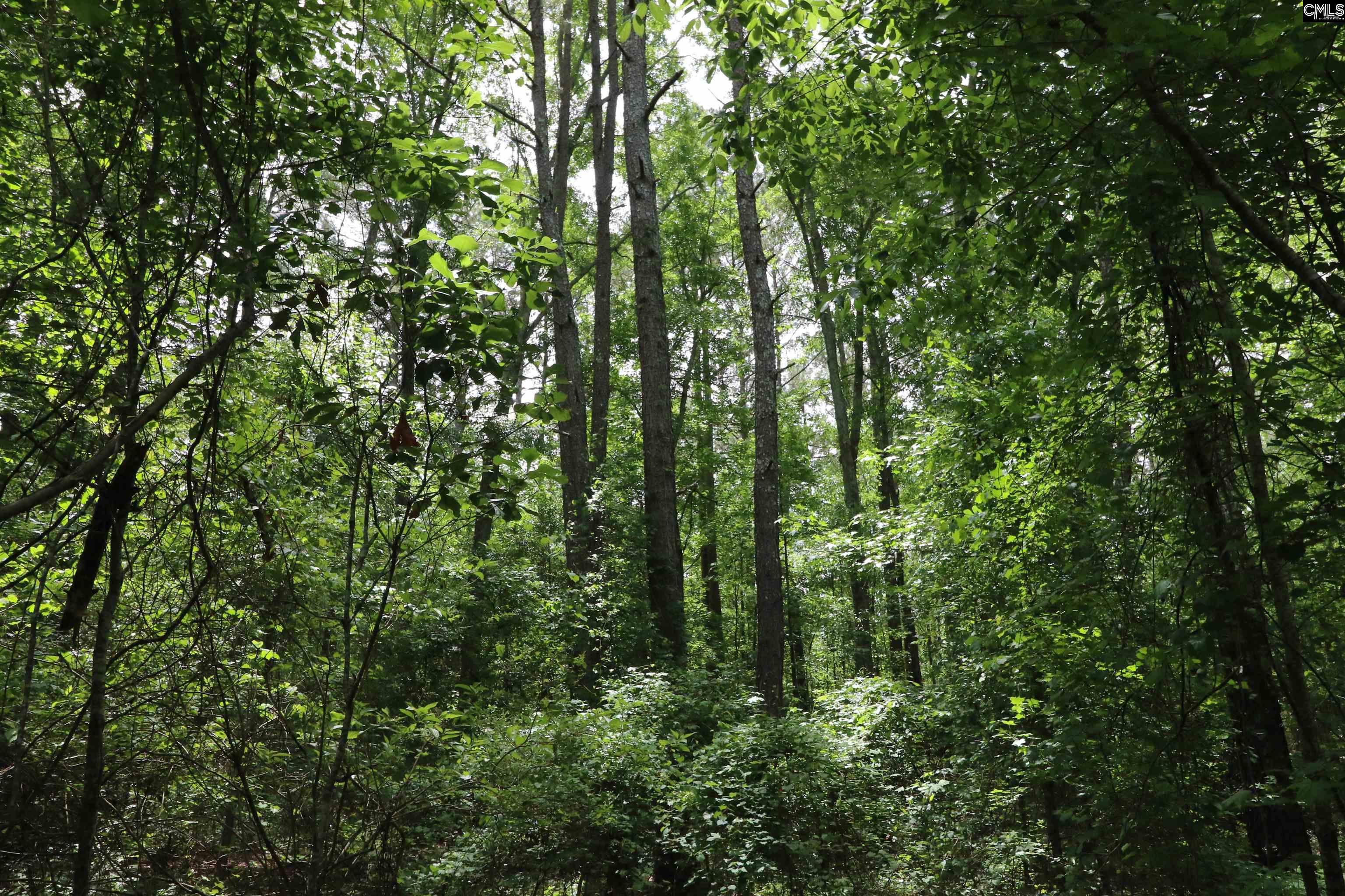 1091 Pine Grove Road Leesville, SC 29070