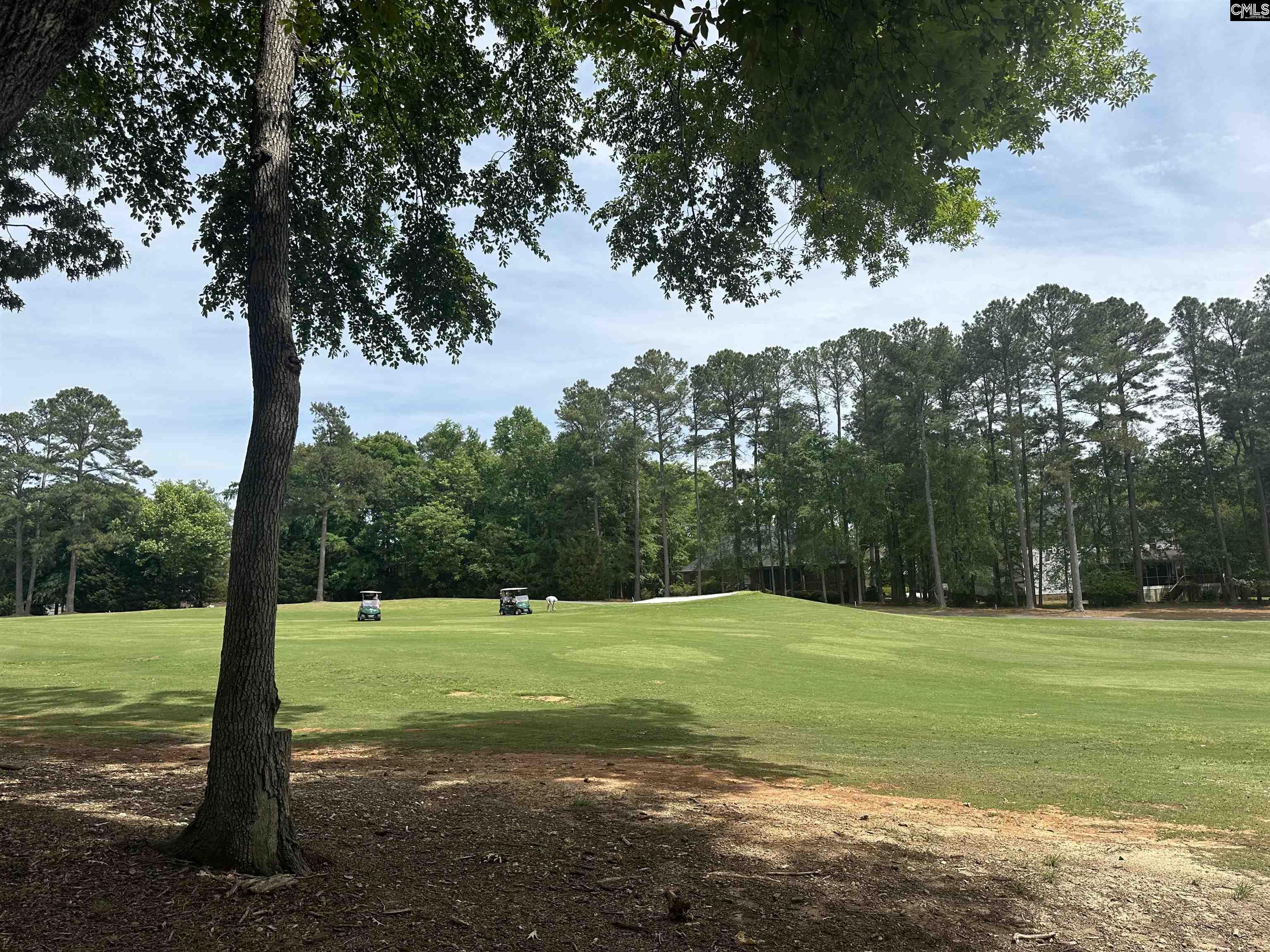 537 Misty Banks Drive UNIT #9 Chapin, SC 29036