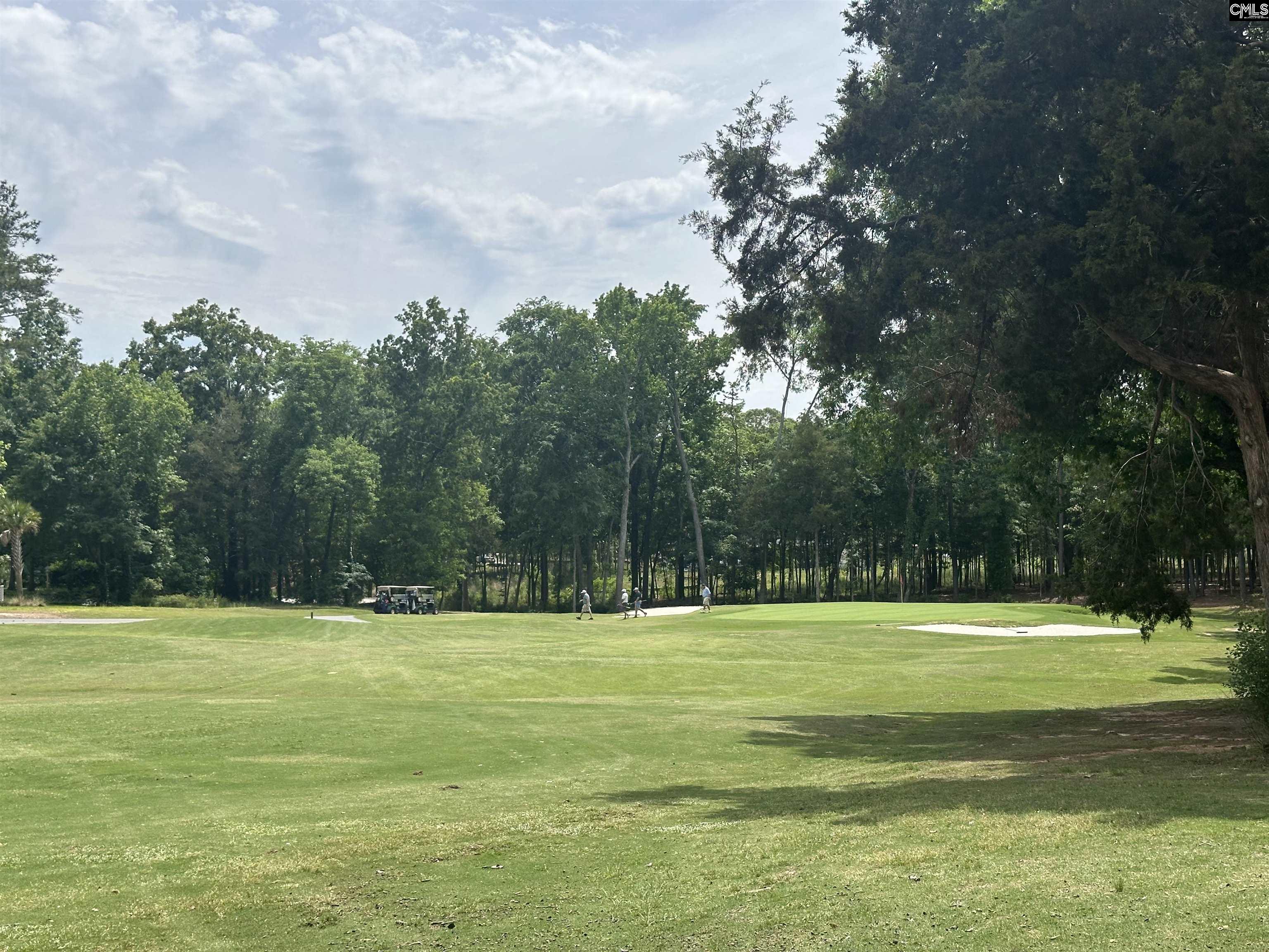 537 Misty Banks Drive UNIT #9 Chapin, SC 29036