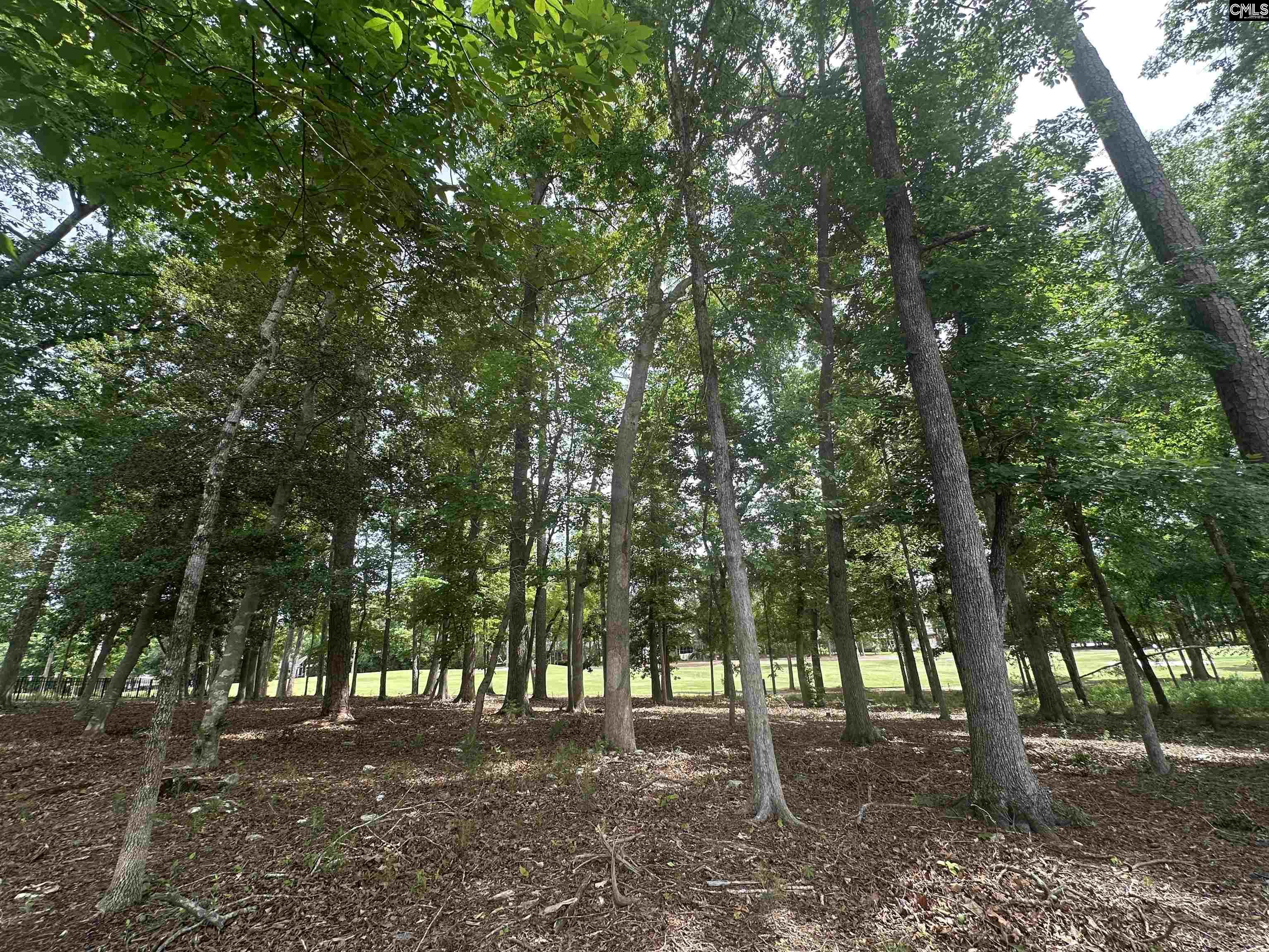 537 Misty Banks Drive UNIT #9 Chapin, SC 29036