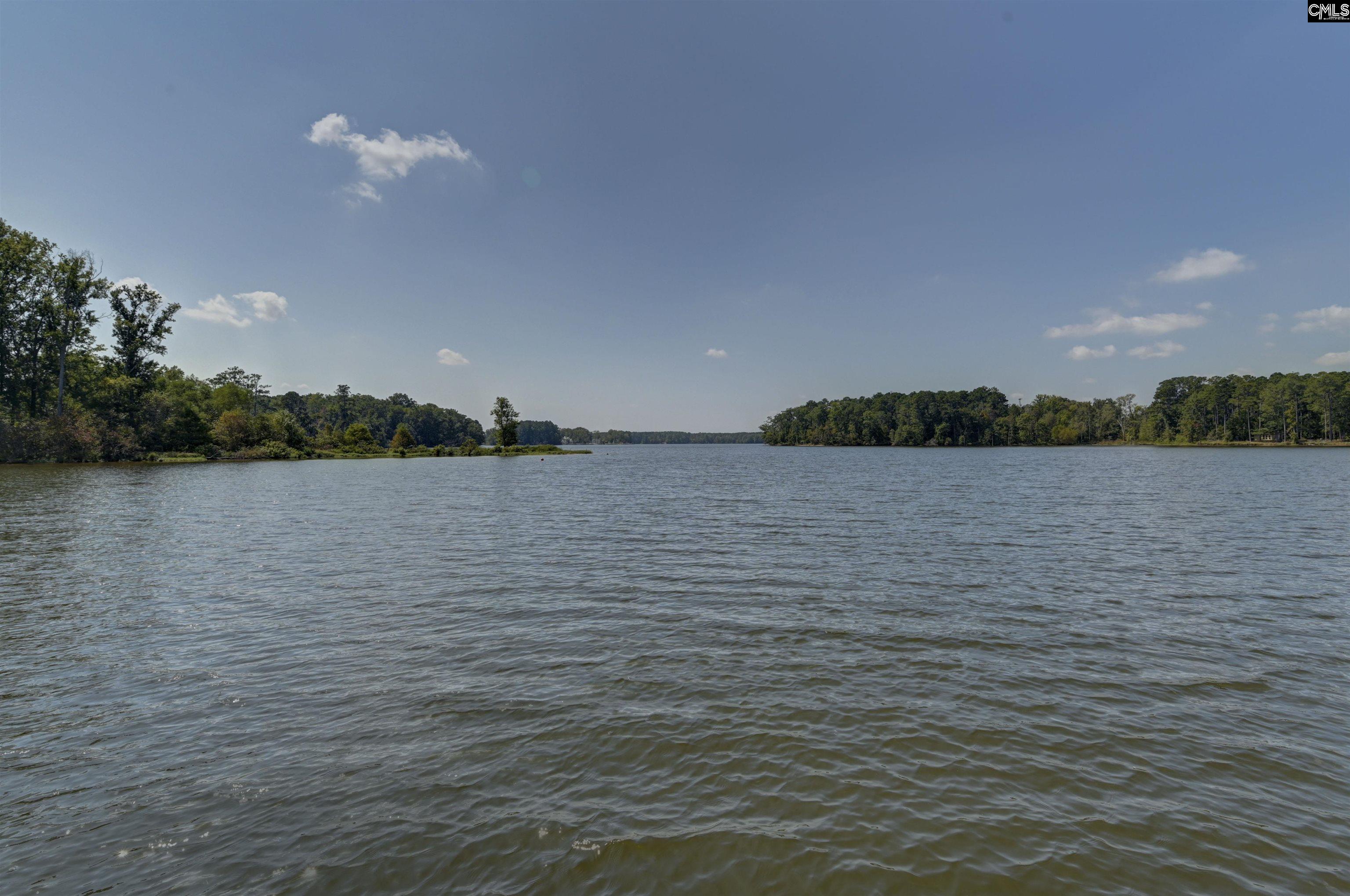 1645 Hutto Island Drive Leesville, SC 29070