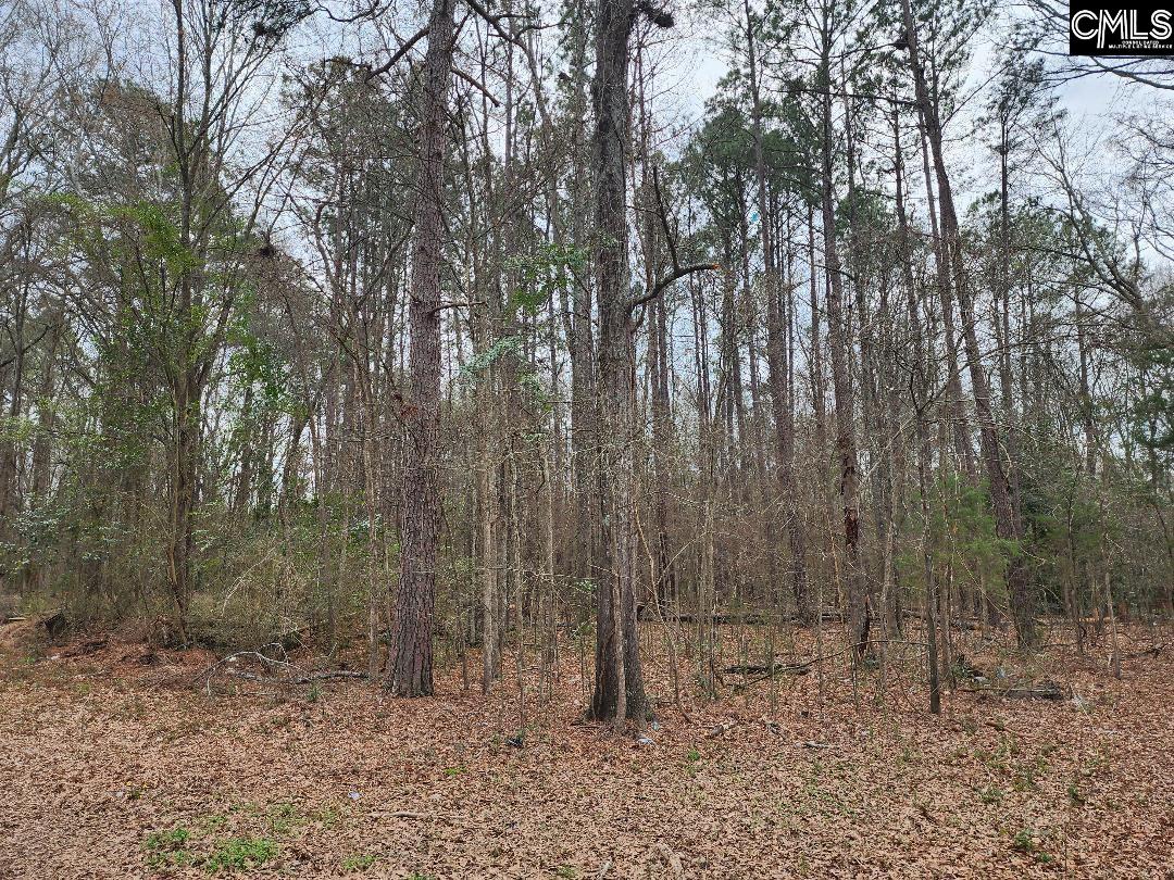W on Giff Street Newberry, SC 29108-0000