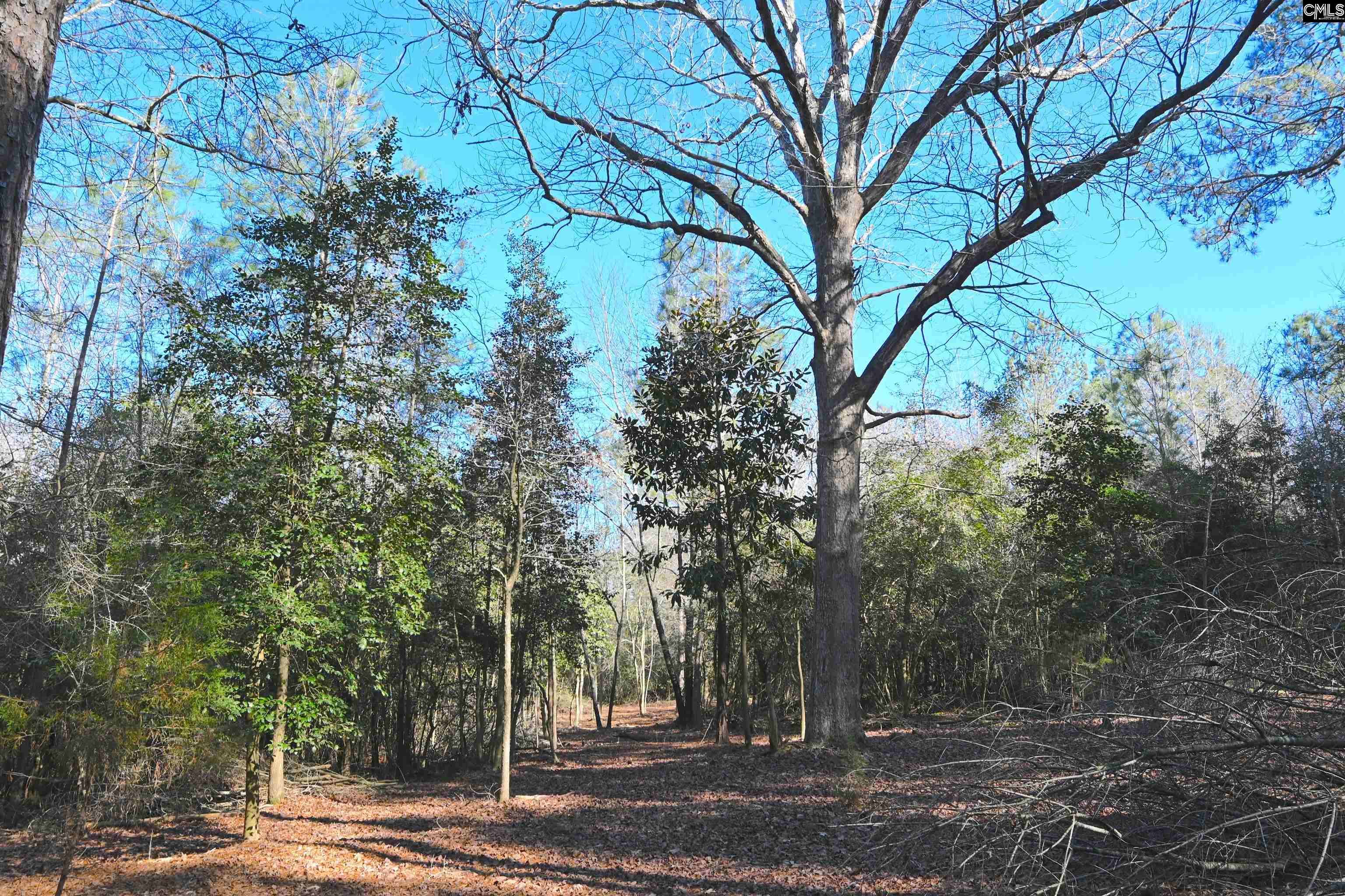 707 Mt Ebal Road Batesburg, SC 29006