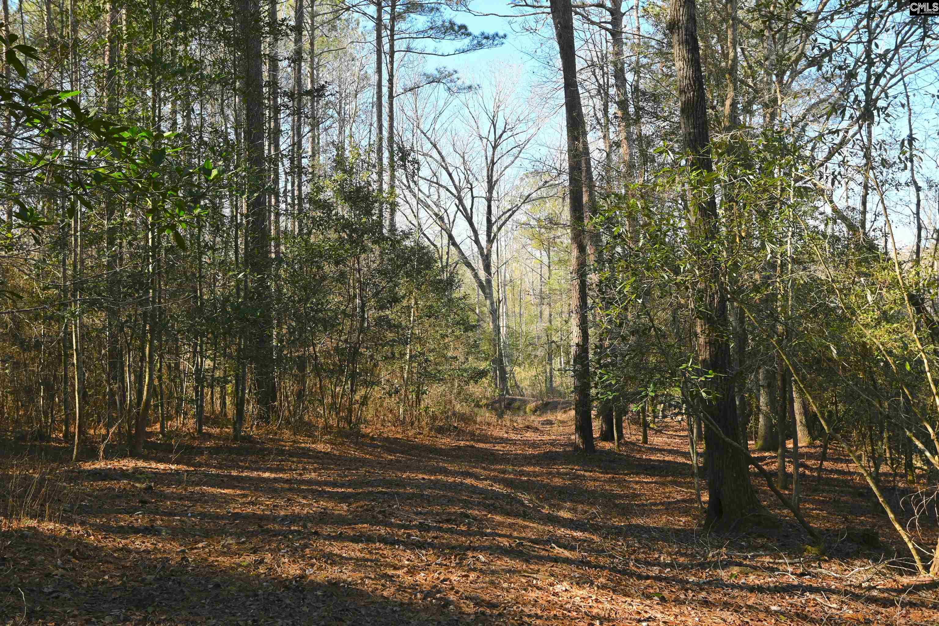 707 Mt Ebal Road Batesburg, SC 29006