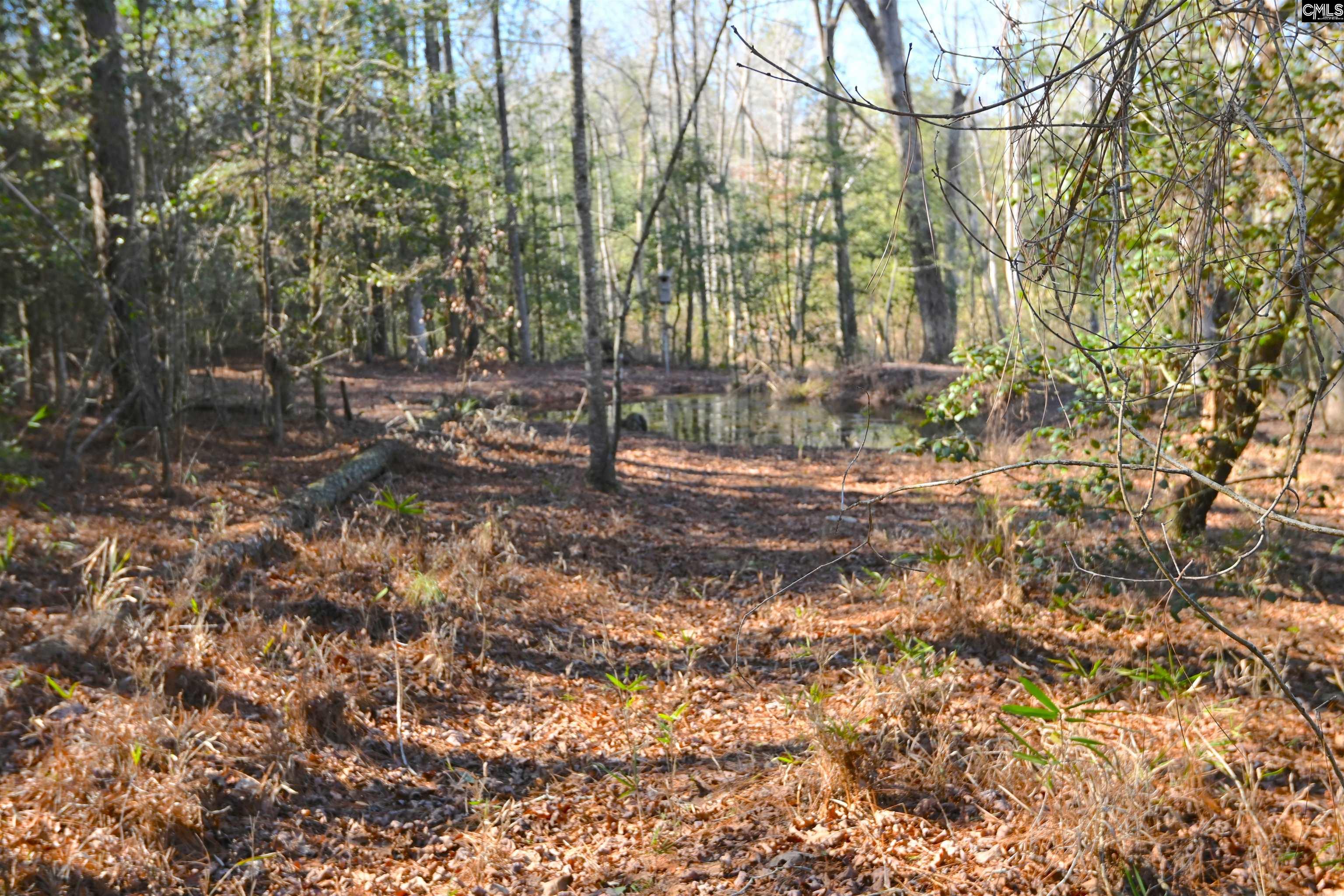 707 Mt Ebal Road Batesburg, SC 29006