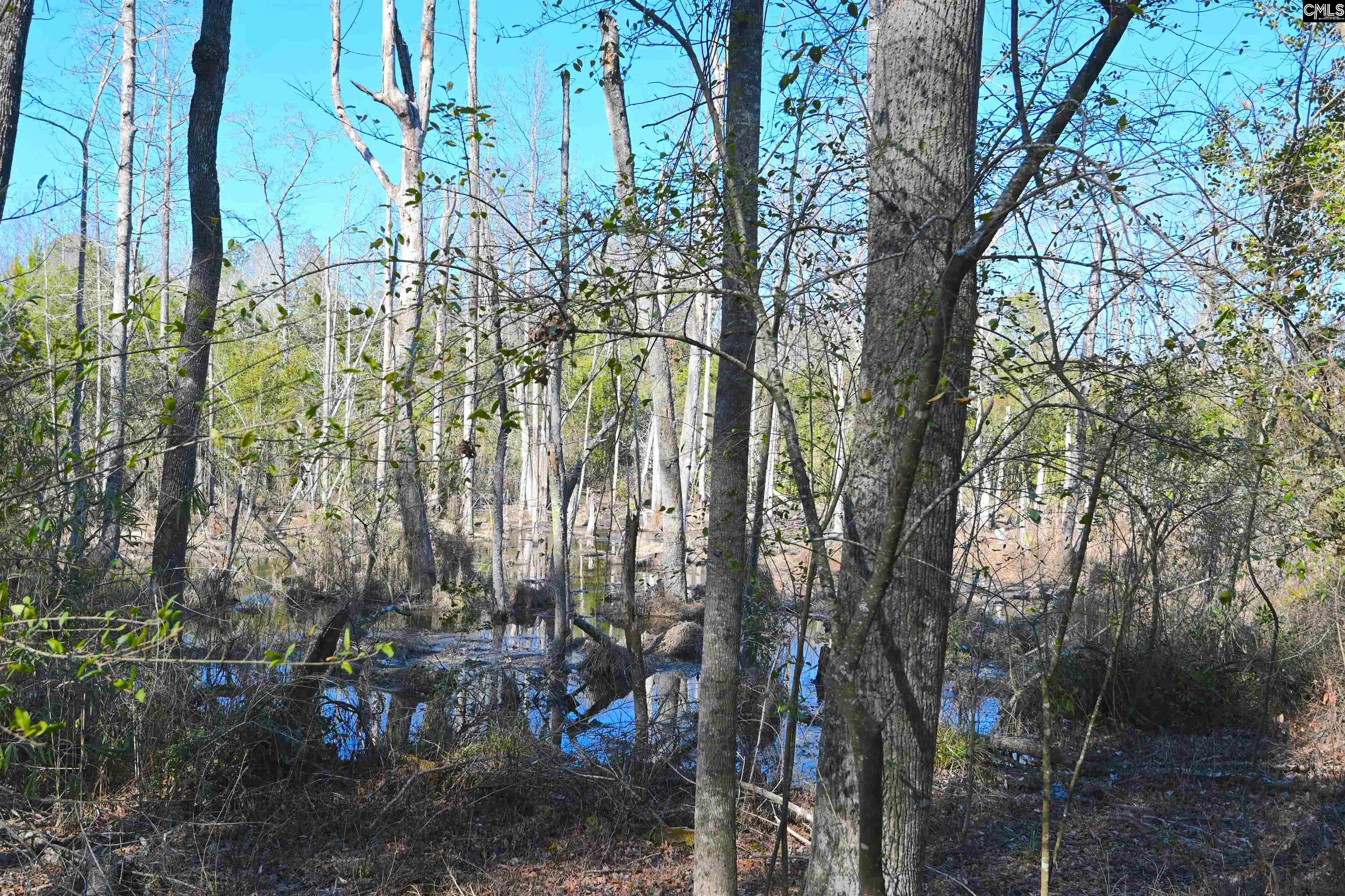 707 Mt Ebal Road Batesburg, SC 29006