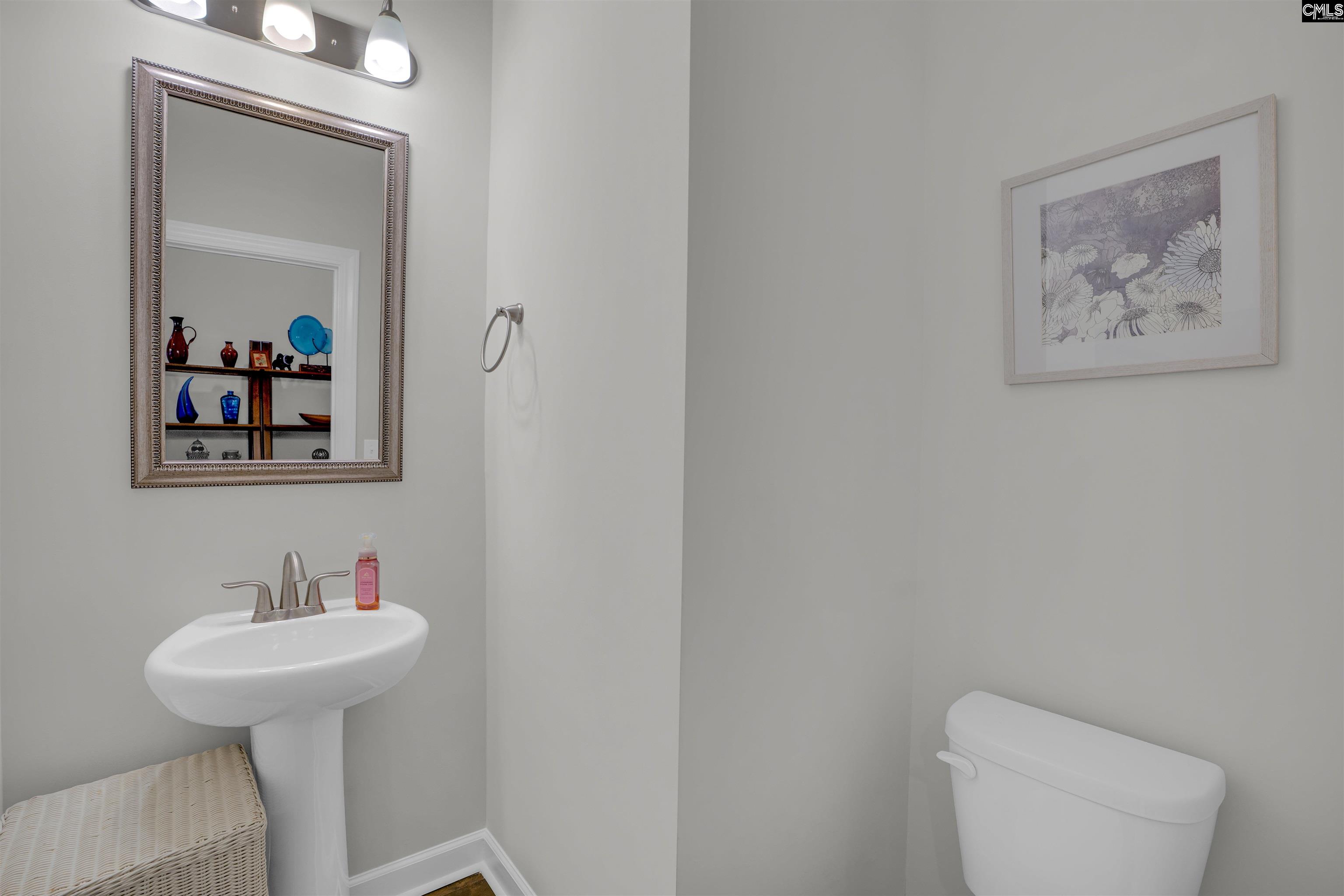 788 Xander Way Chapin, SC 29036