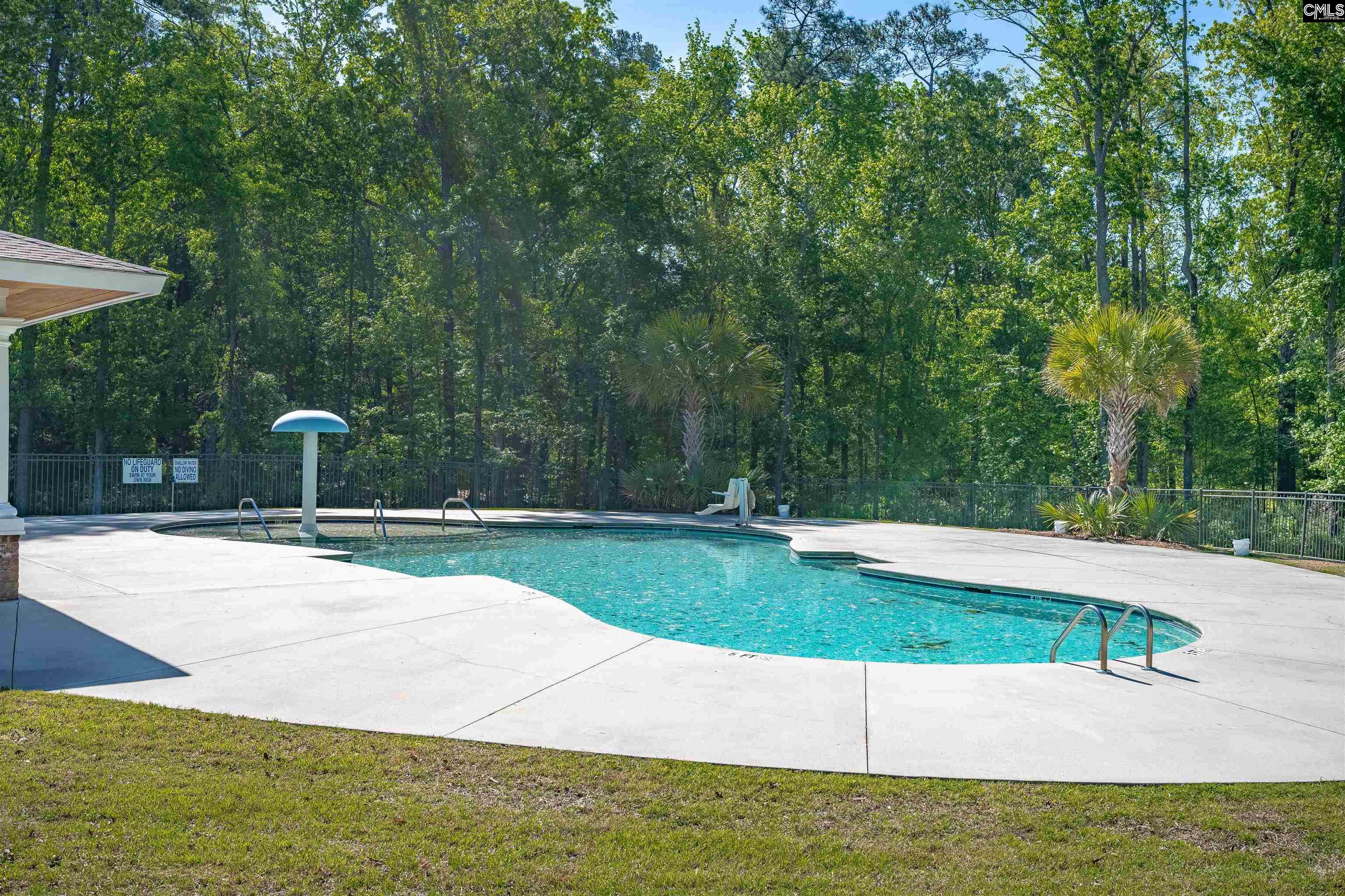 788 Xander Way Chapin, SC 29036