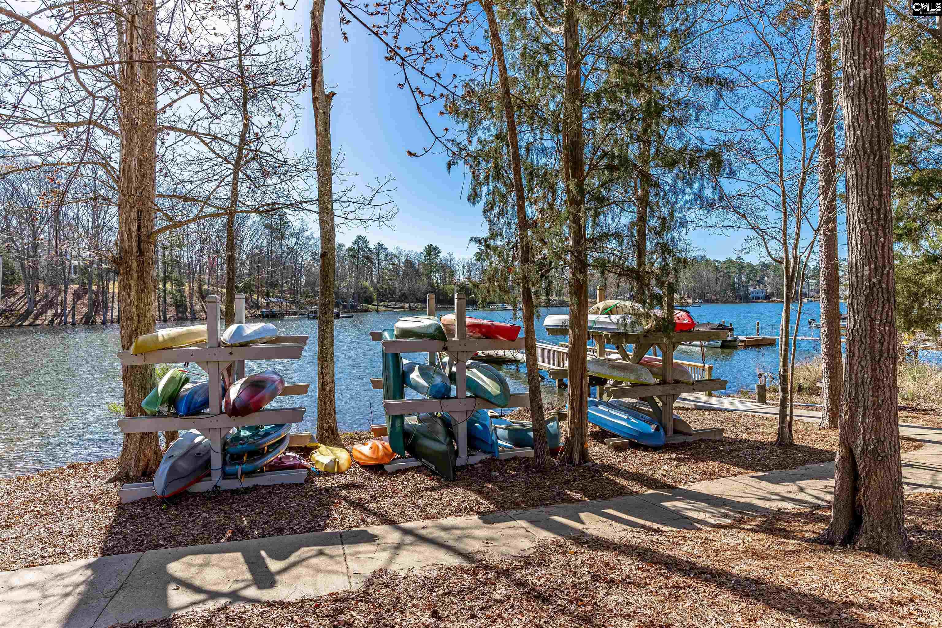 788 Xander Way Chapin, SC 29036