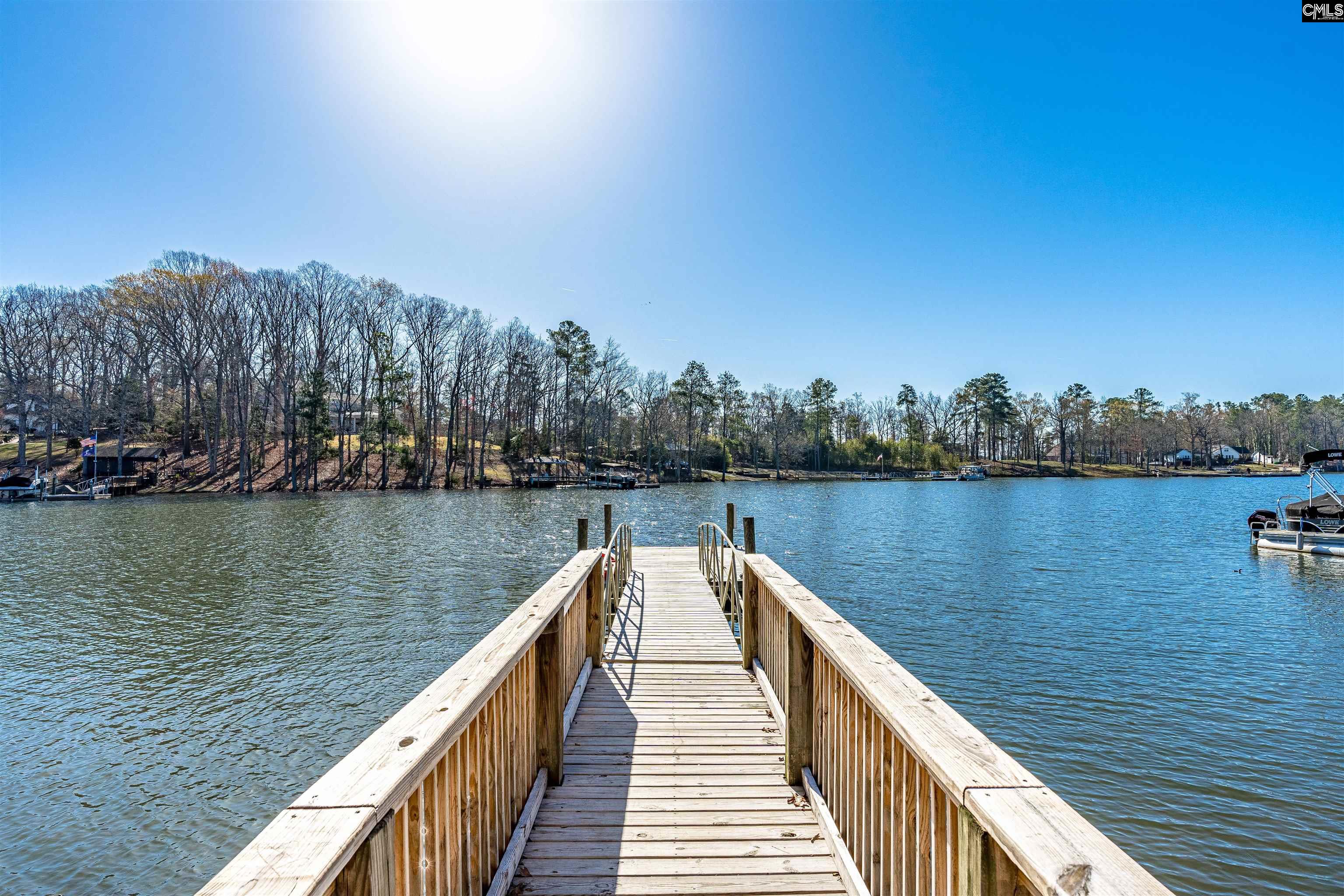 788 Xander Way Chapin, SC 29036