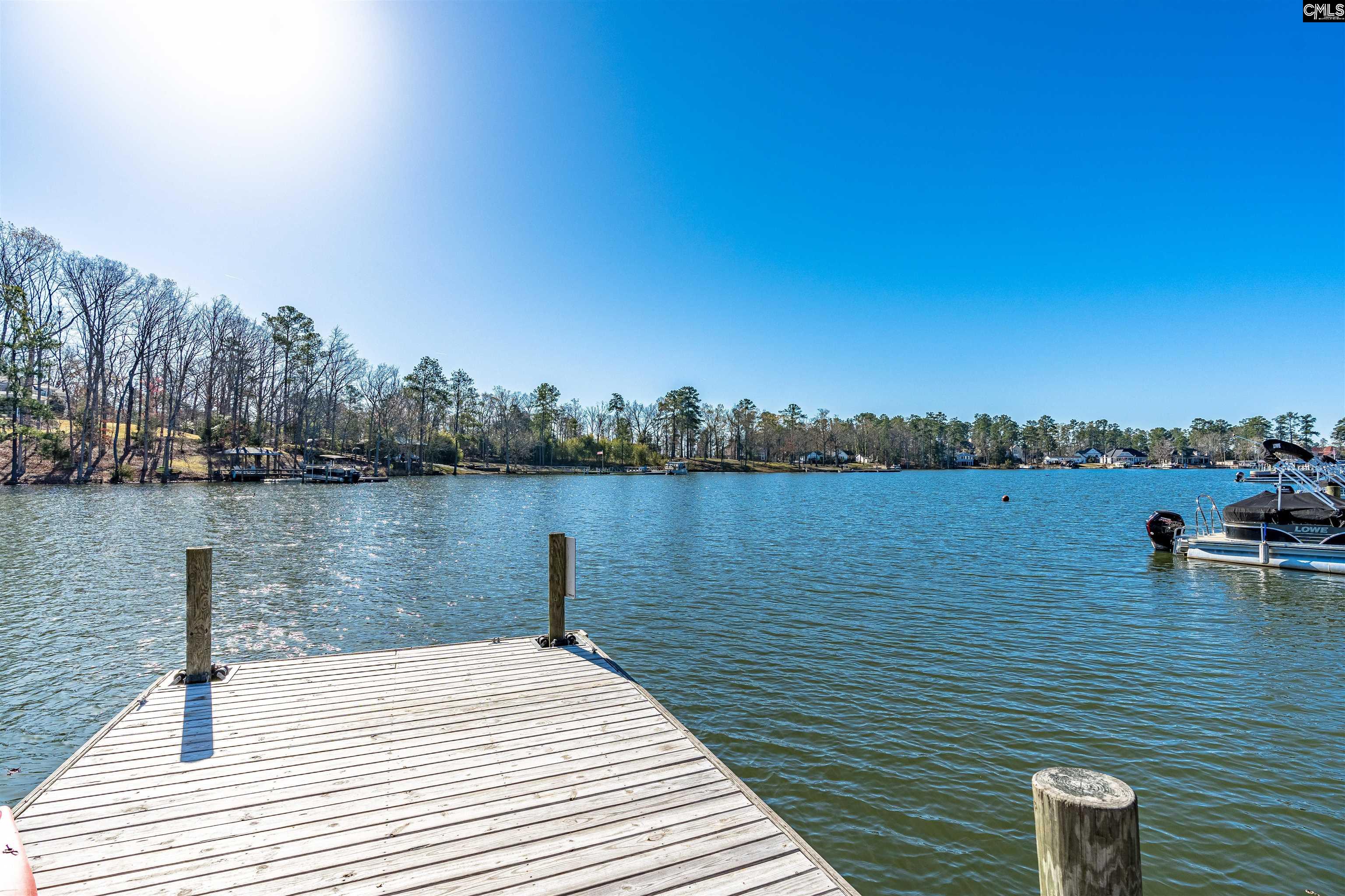 788 Xander Way Chapin, SC 29036