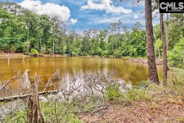 234 Winterberry Loop Lexington, SC 29072-8153
