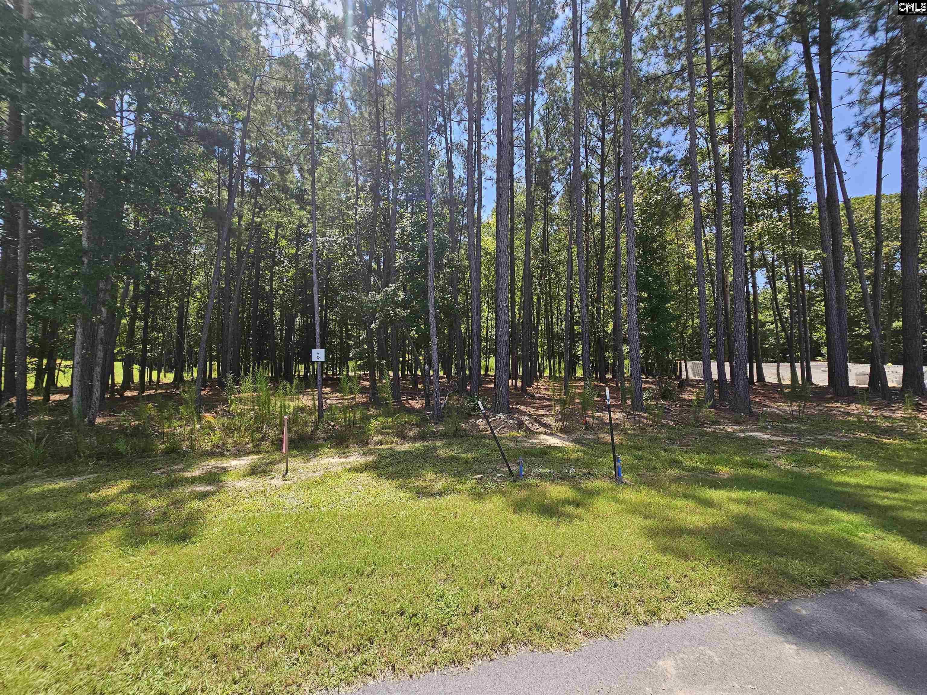 Lot 6 Stewart Landing Drive Prosperity, SC 29127