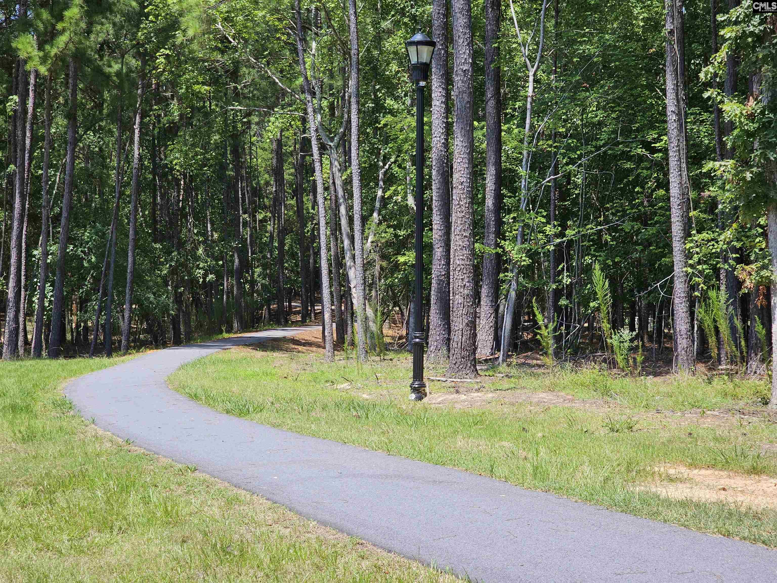 Lot 6 Stewart Landing Drive Prosperity, SC 29127