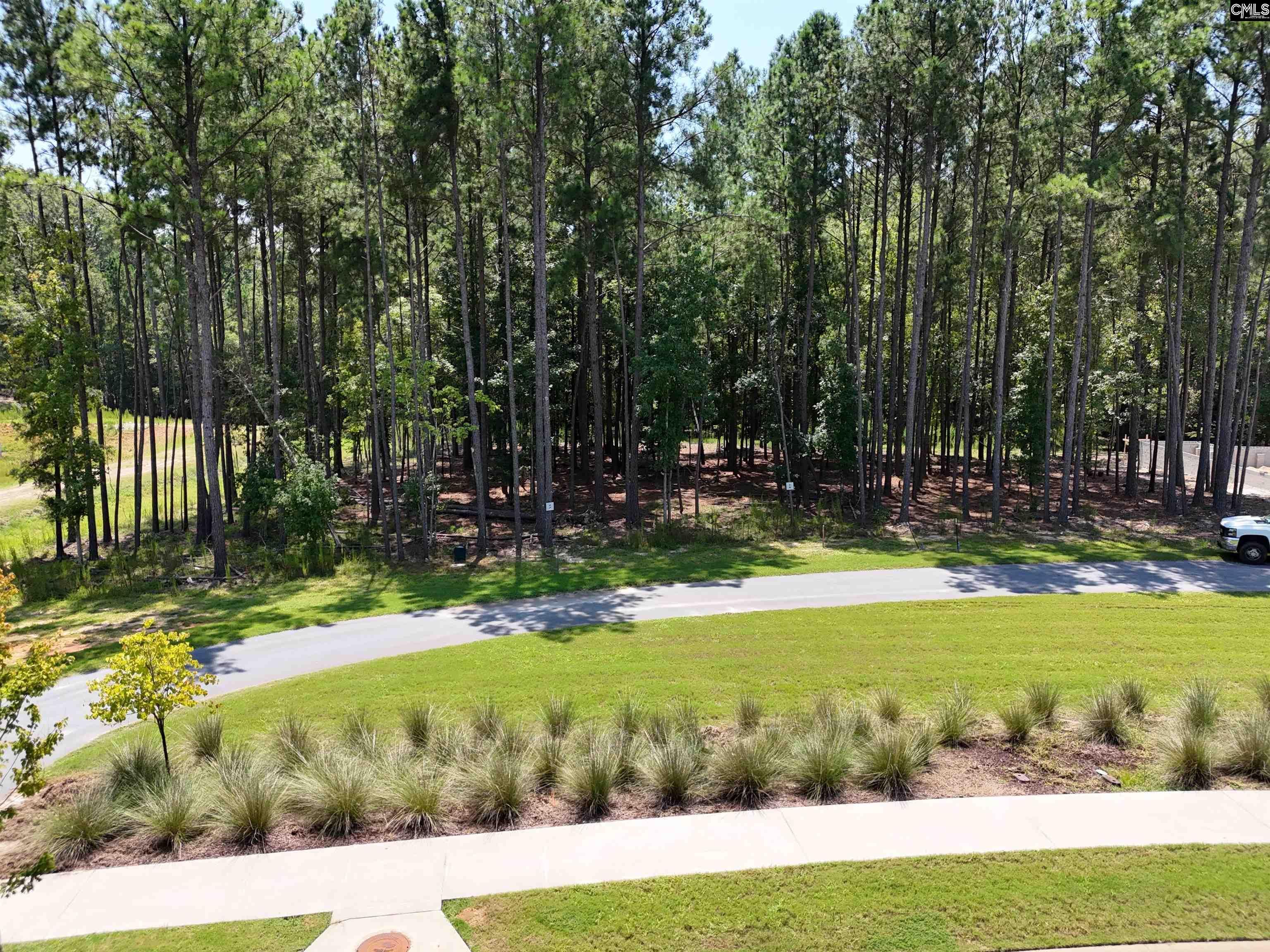 Lot 6 Stewart Landing Drive Prosperity, SC 29127