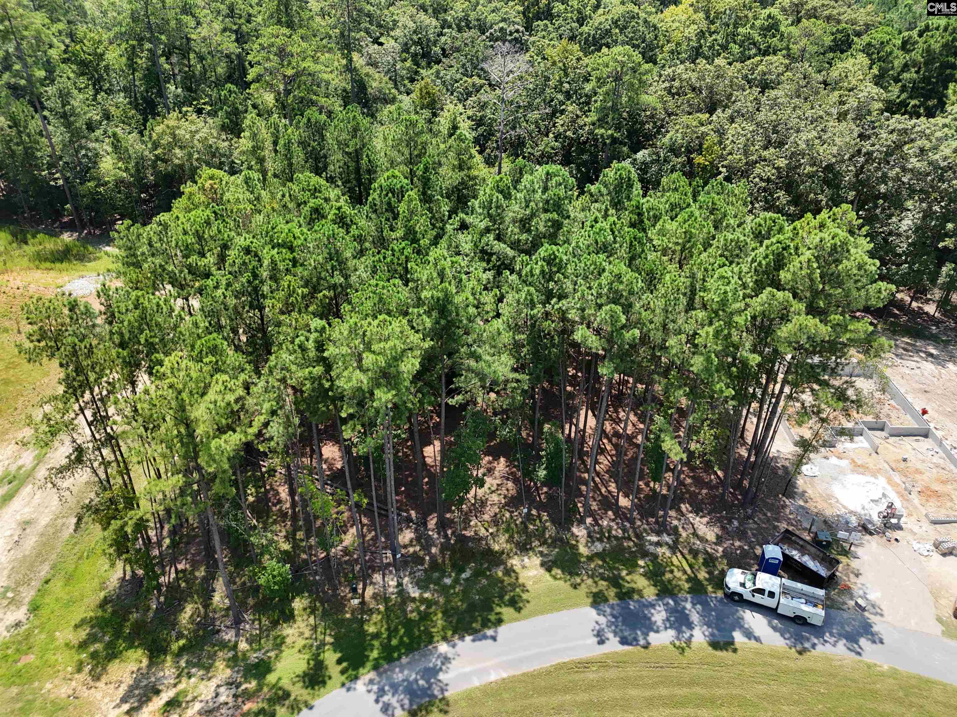 Lot 6 Stewart Landing Drive Prosperity, SC 29127
