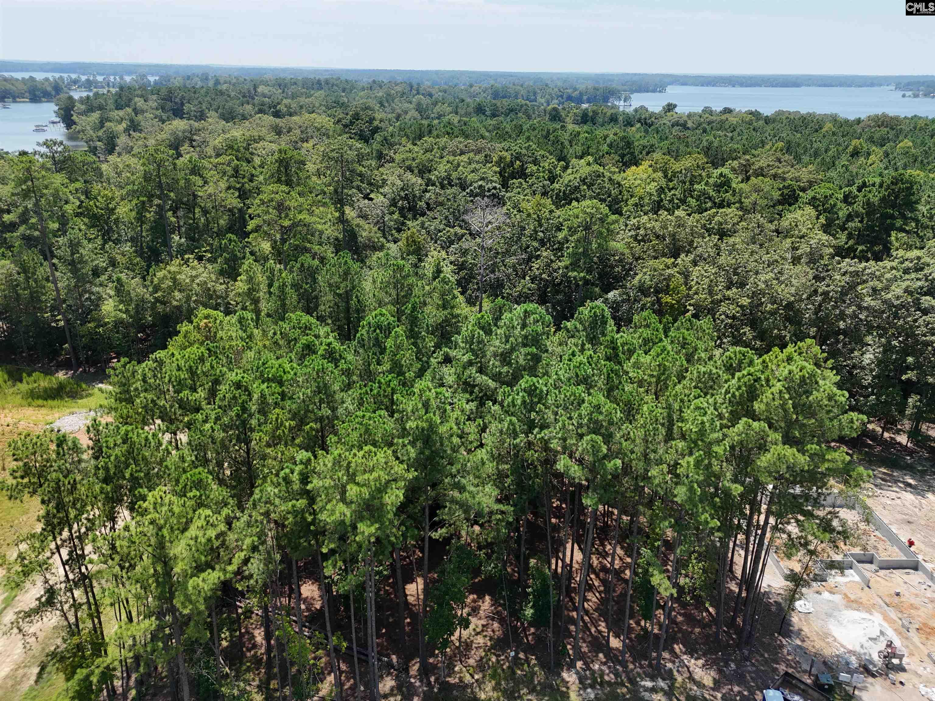 Lot 6 Stewart Landing Drive Prosperity, SC 29127
