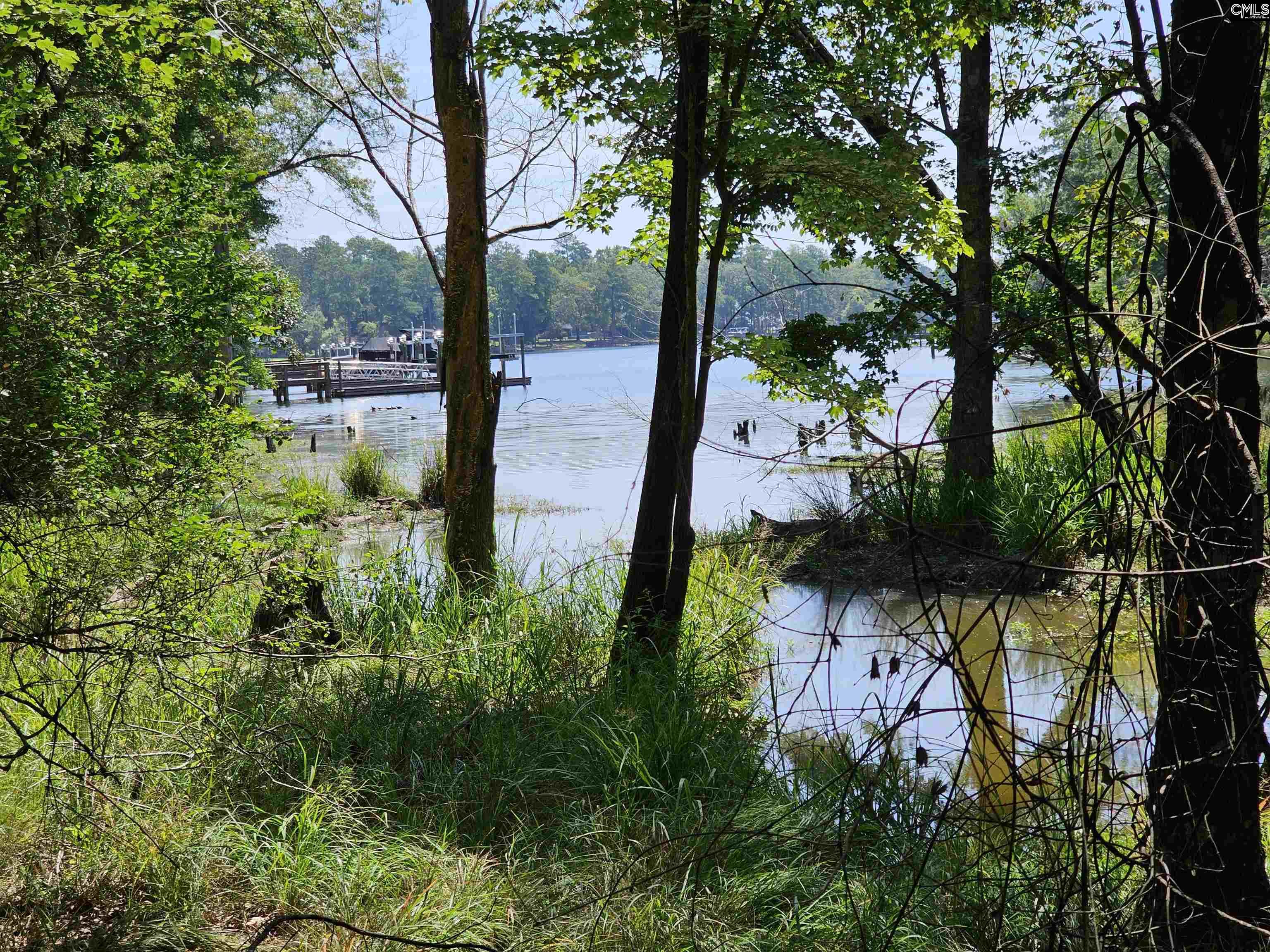 Lot 6 Stewart Landing Drive Prosperity, SC 29127