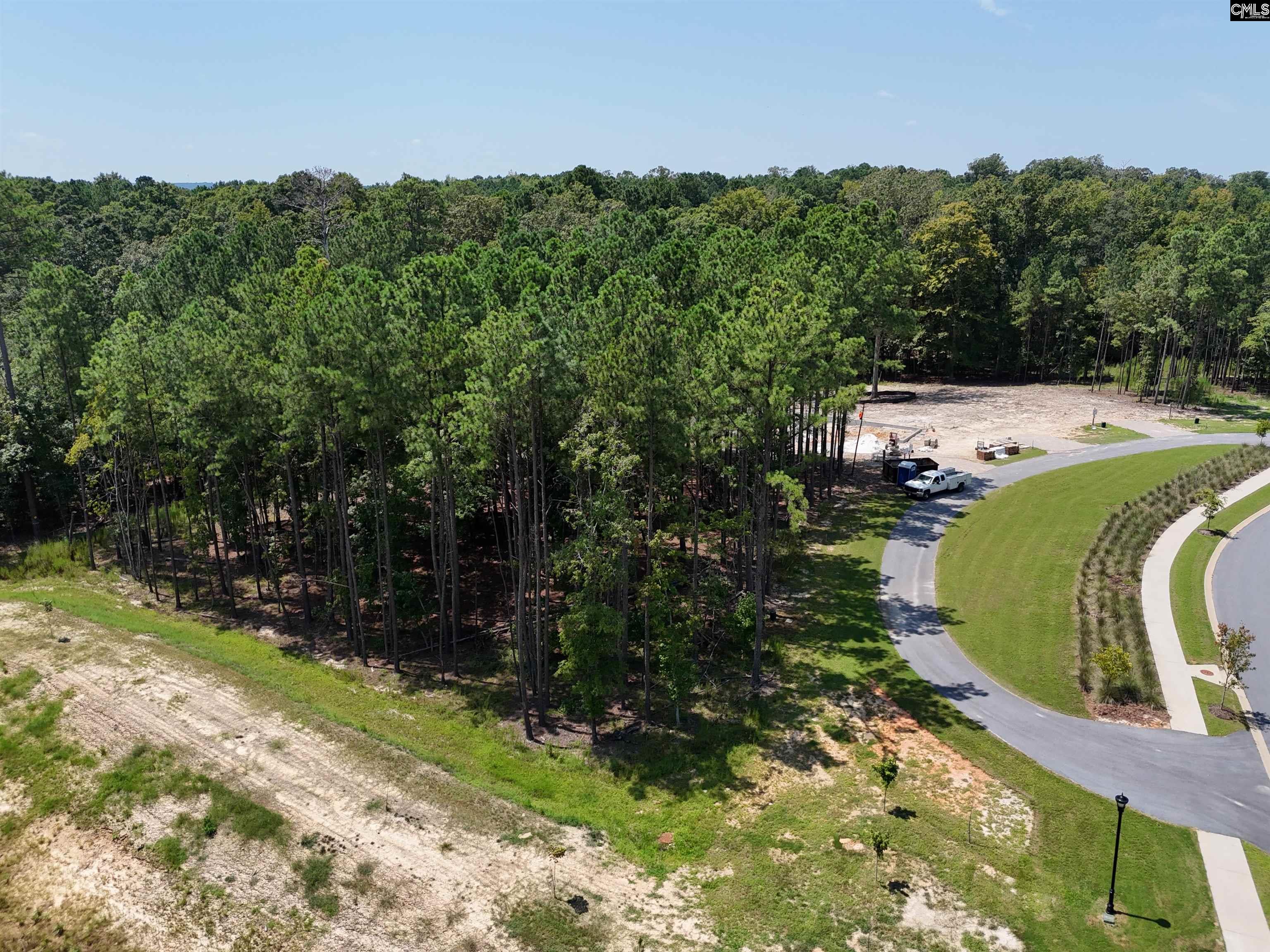 Lot 6 Stewart Landing Drive Prosperity, SC 29127