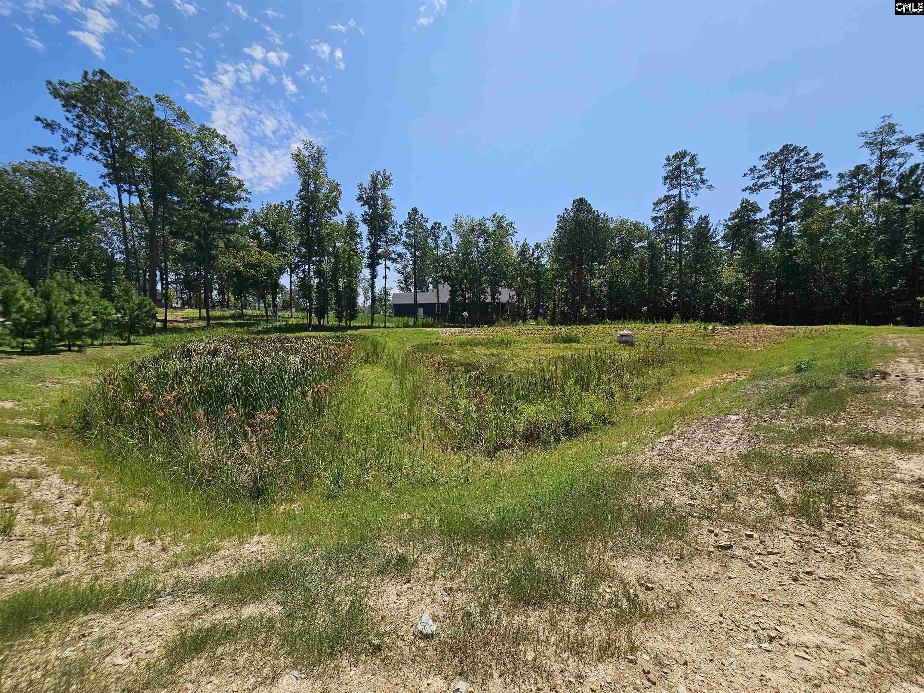 Lot 6 Stewart Landing Drive Prosperity, SC 29127