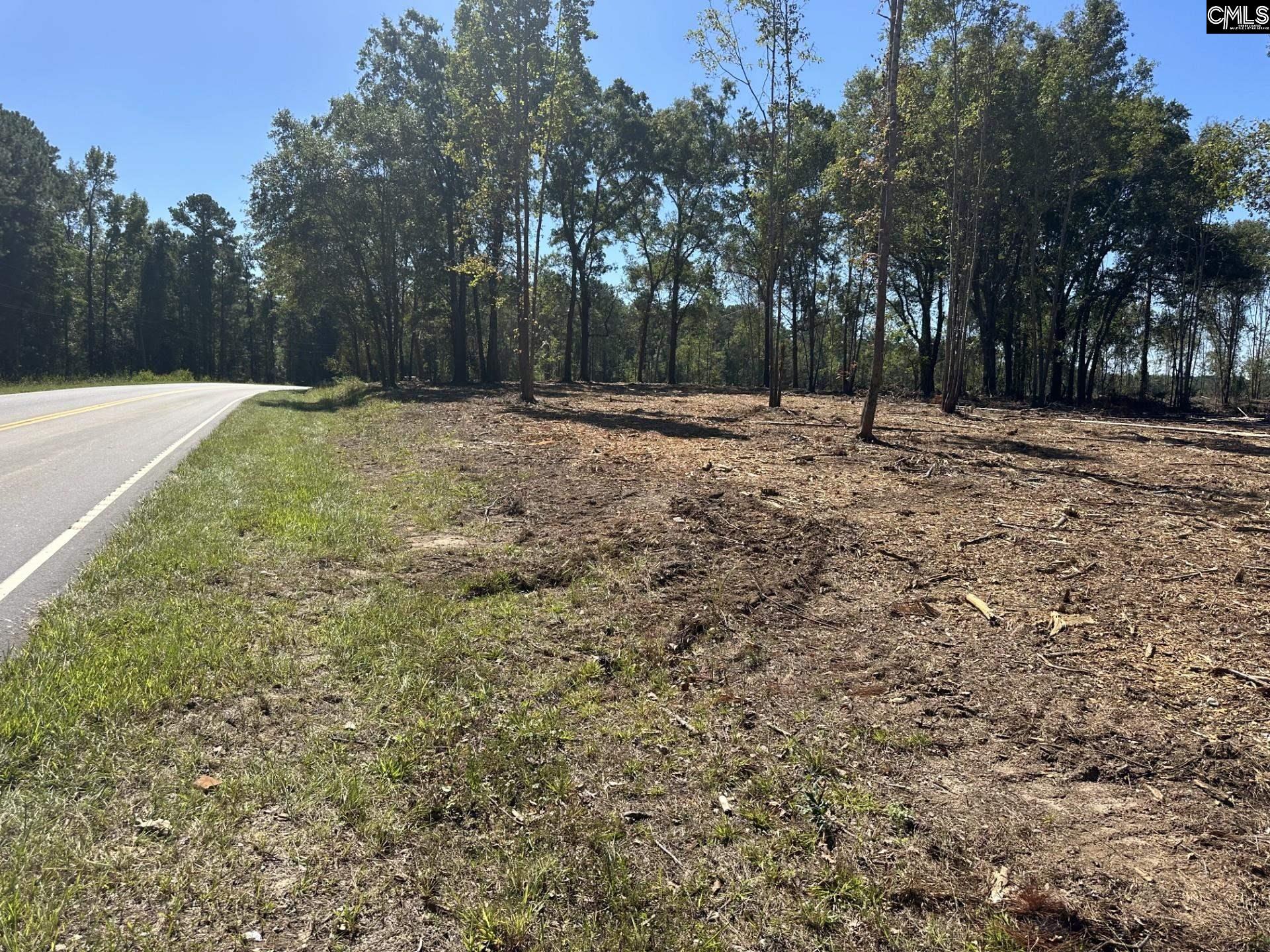 00 Sc Hwy 773 Highway Pomaria, SC 29126