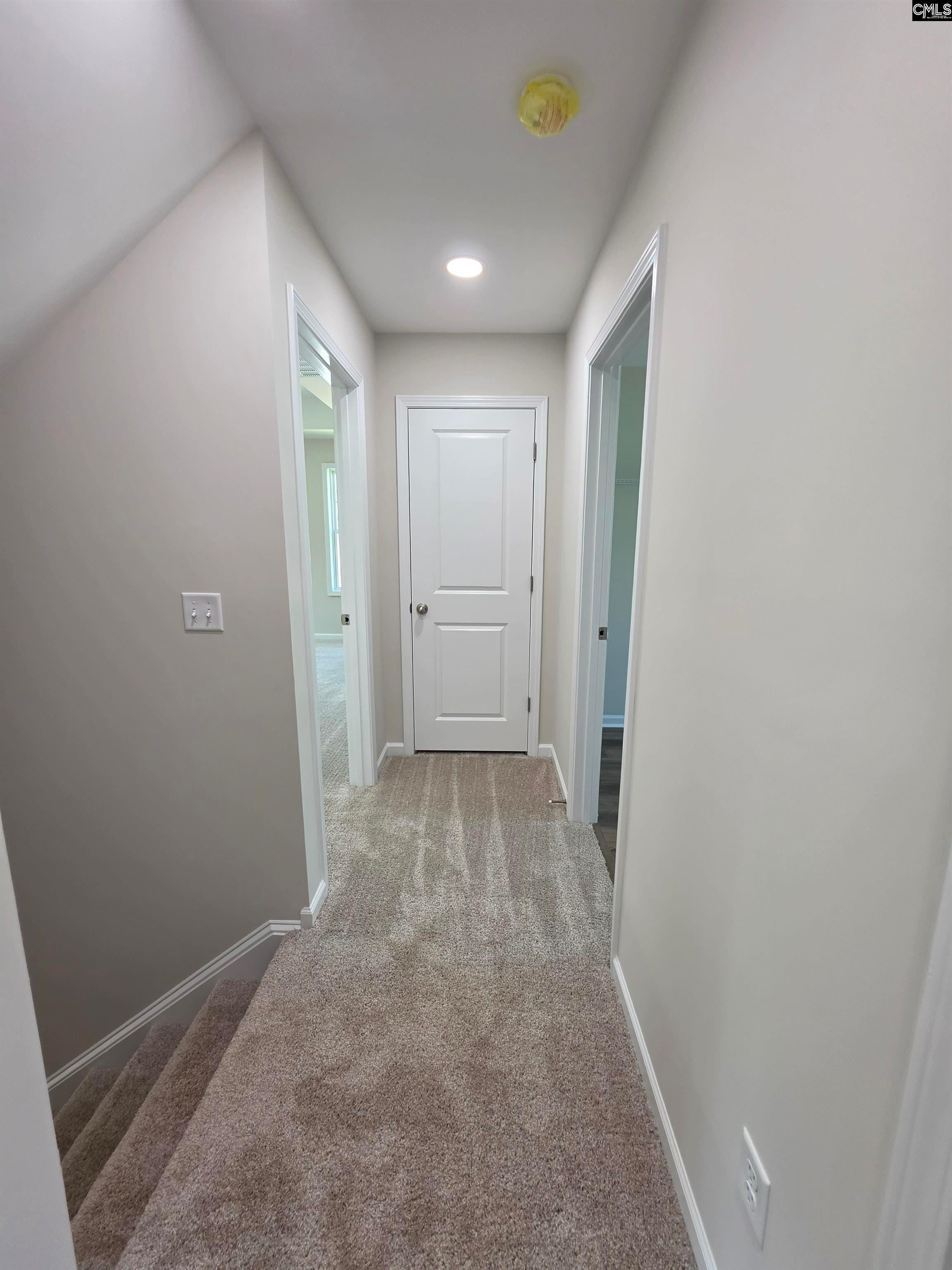 93 Dogwood Cottage Court Blythewood, SC 29016