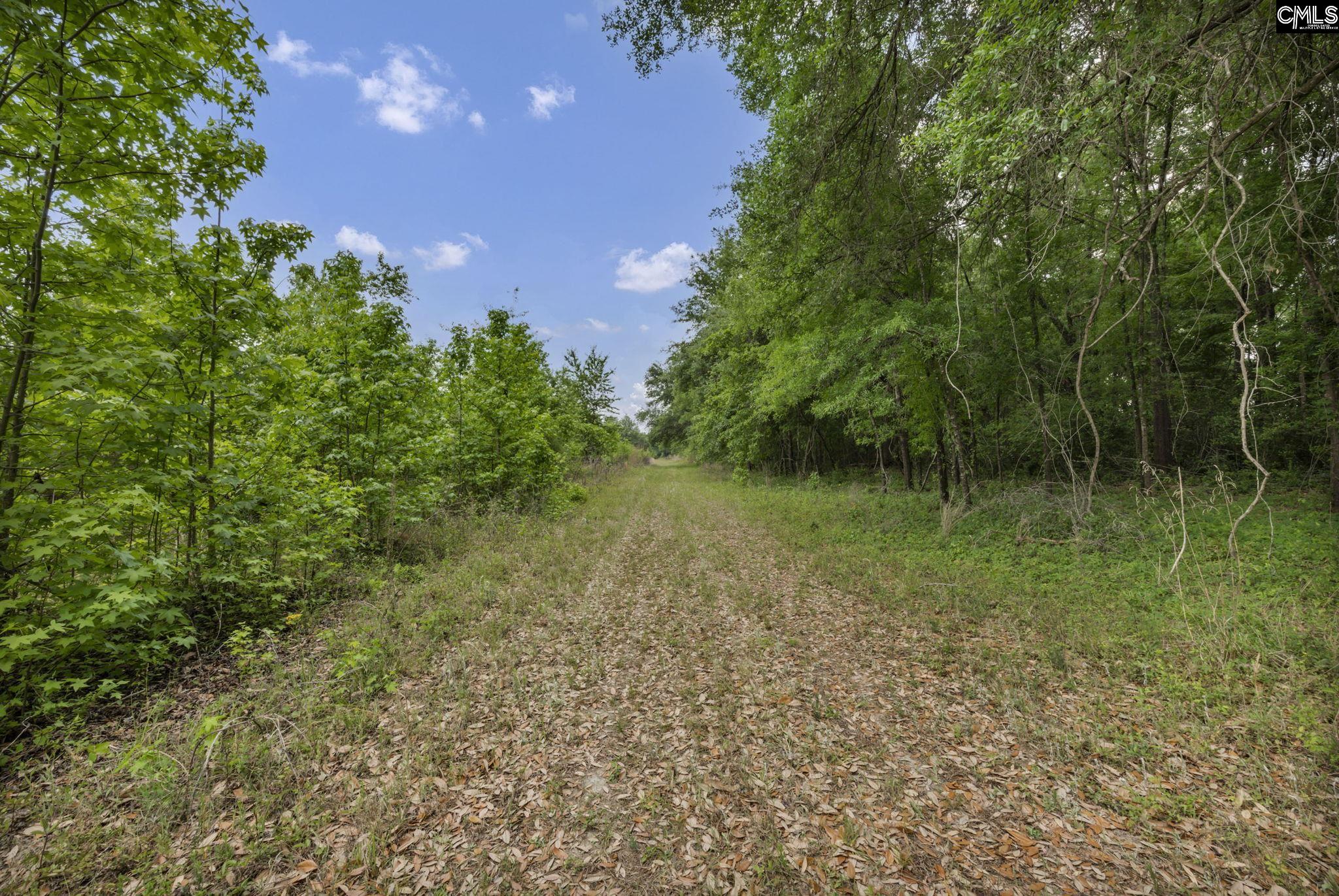 1244 Weston Road Hopkins, SC 29061