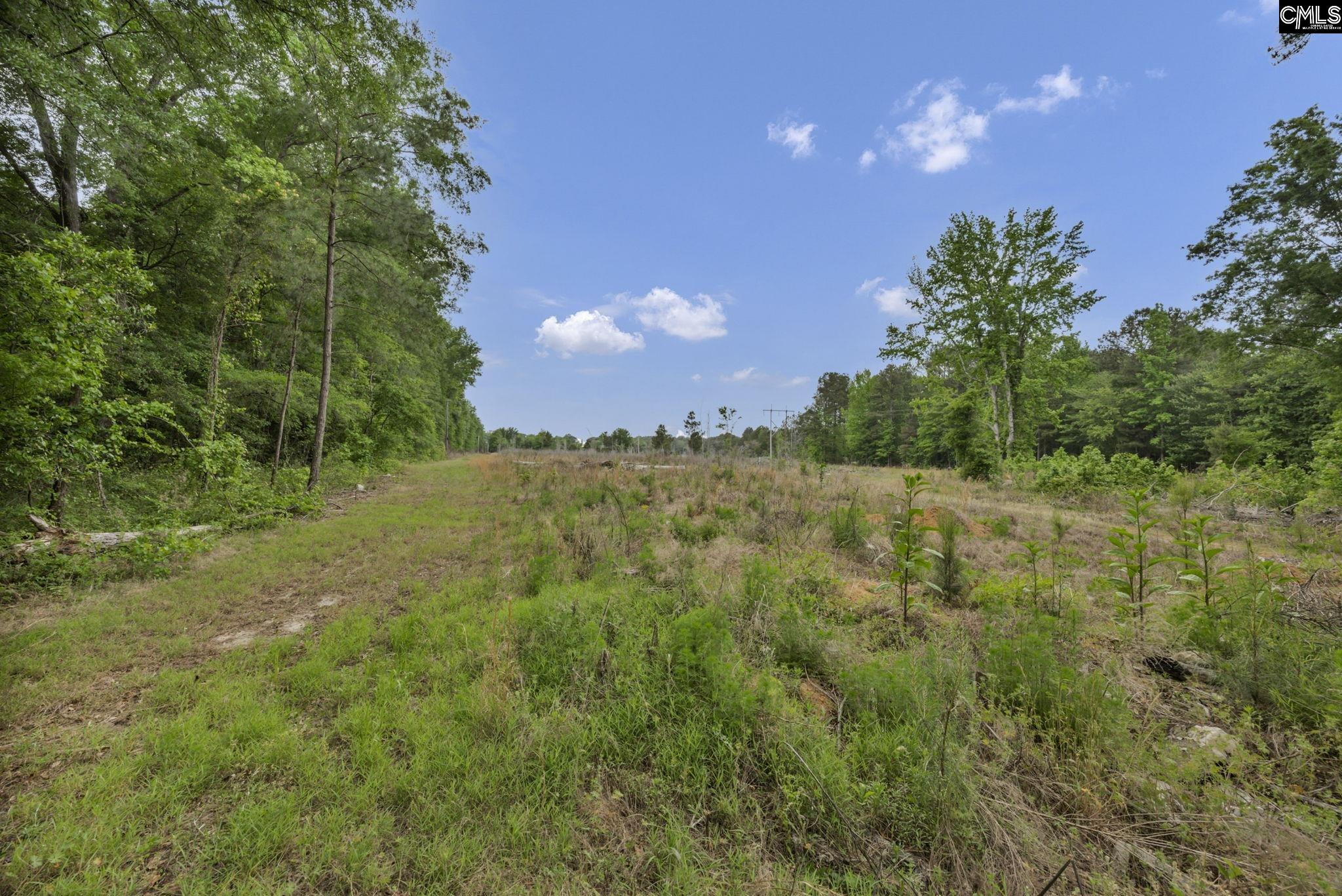 1244 Weston Road Hopkins, SC 29061