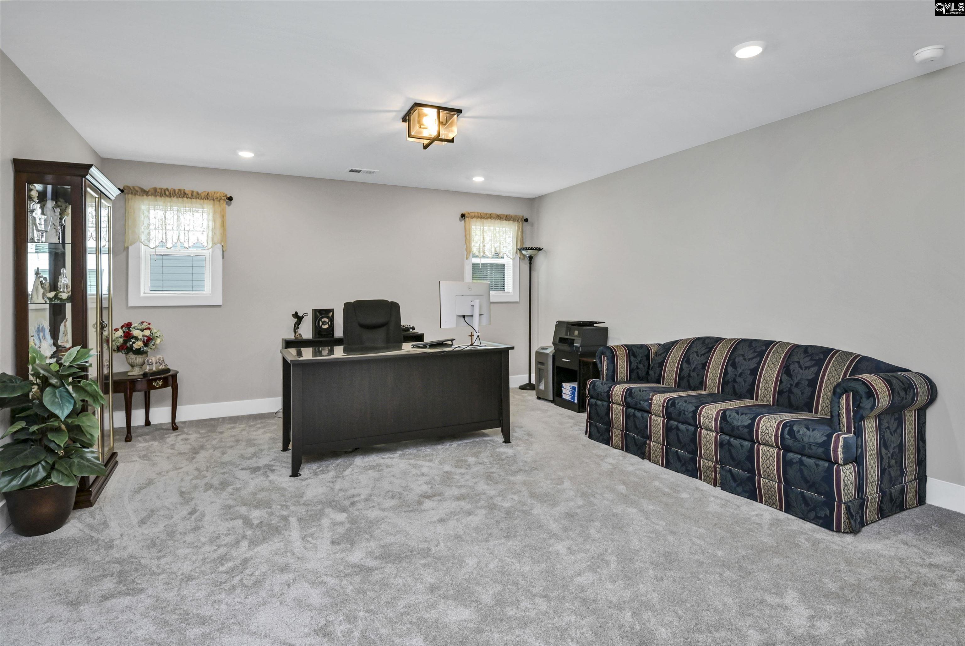 191 Collins Cove Drive Chapin, SC 29036