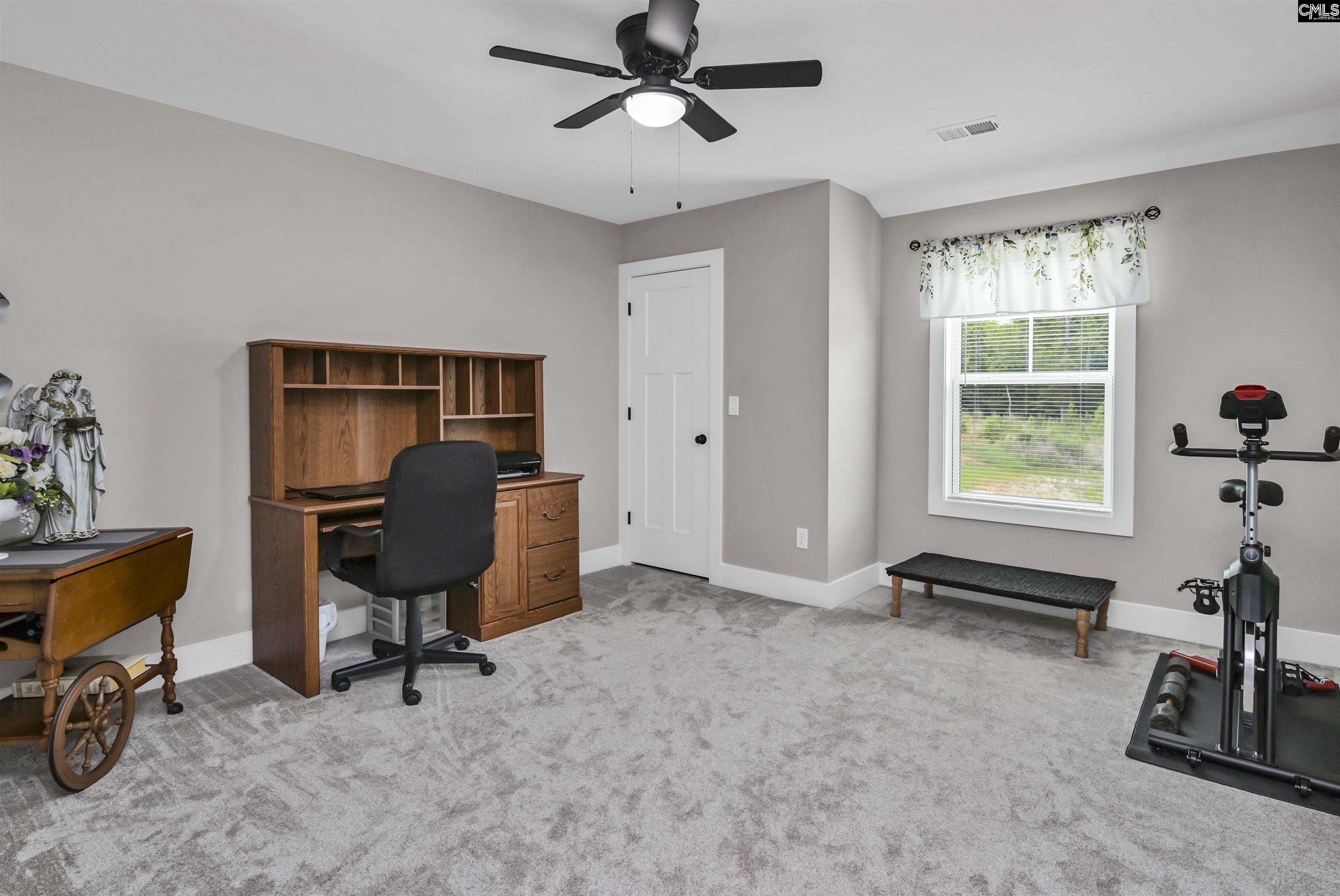 191 Collins Cove Drive Chapin, SC 29036