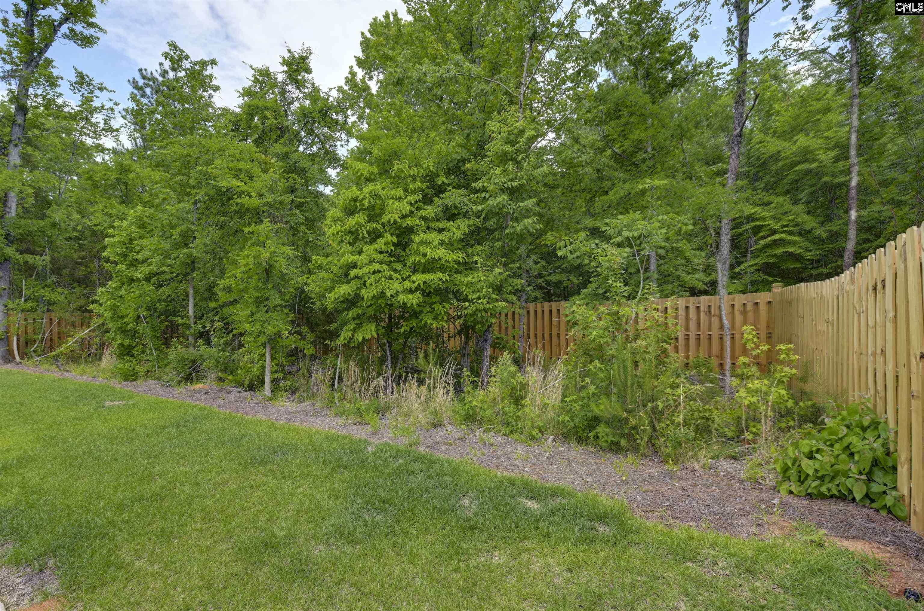 191 Collins Cove Drive Chapin, SC 29036