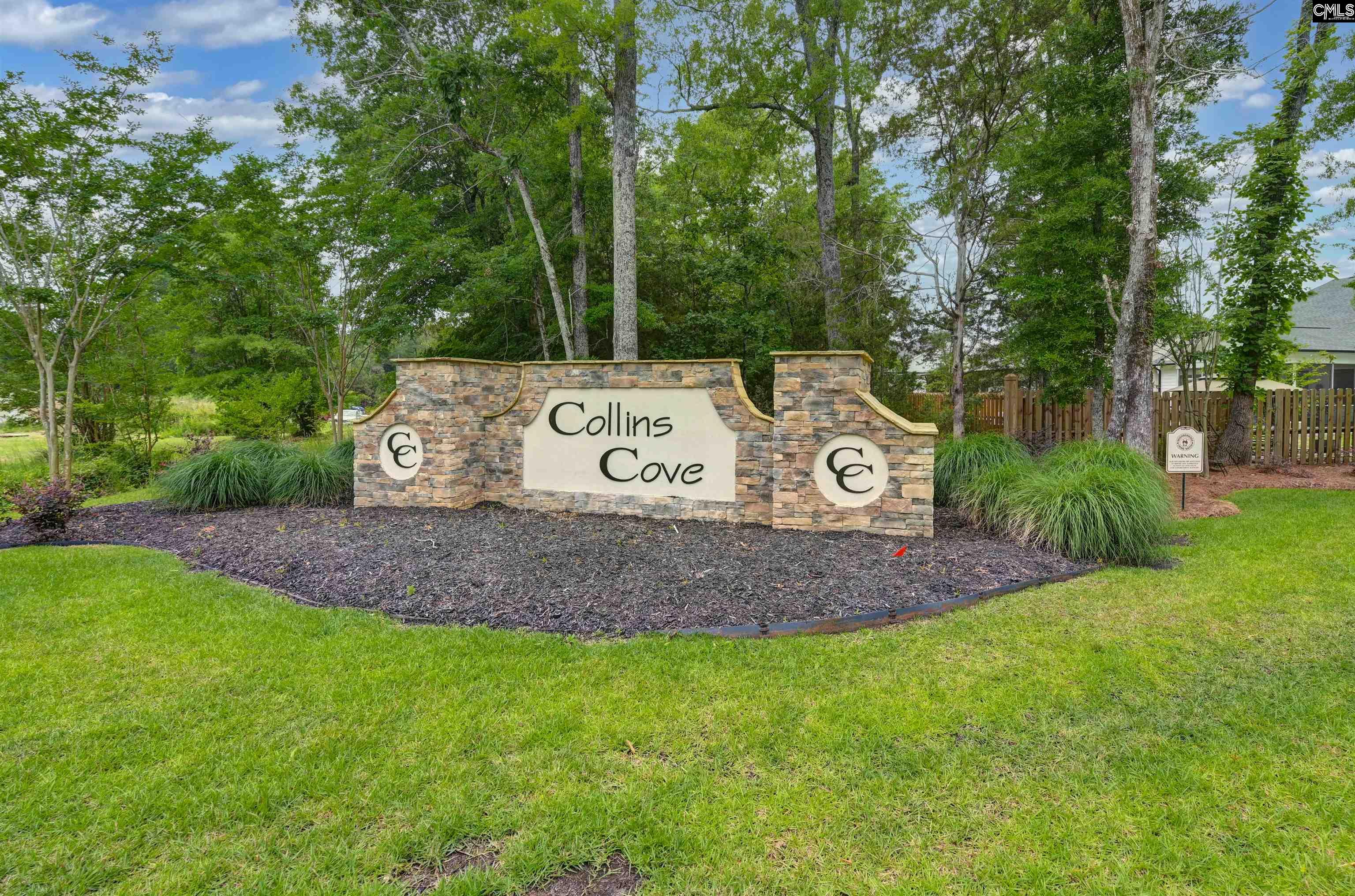 191 Collins Cove Drive Chapin, SC 29036