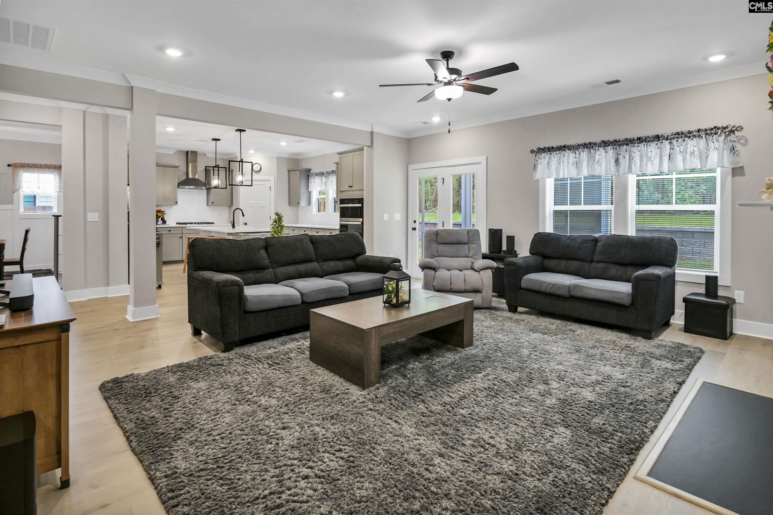 191 Collins Cove Drive Chapin, SC 29036