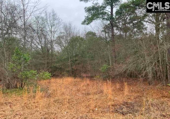 669 Clay Hills Road Pelion, SC 29123