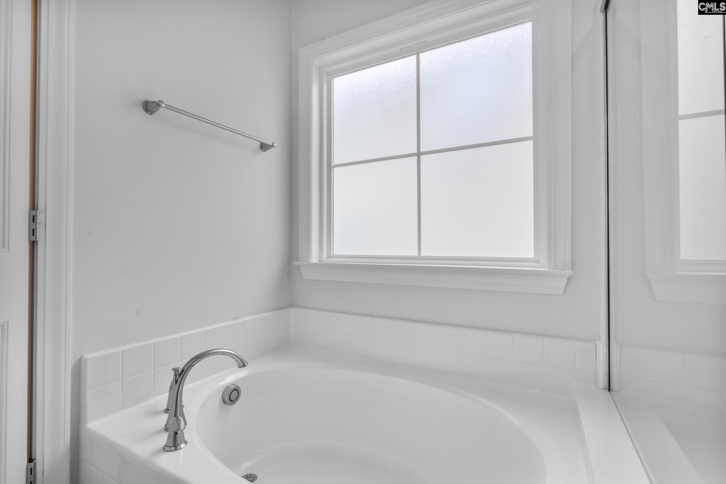 482 Malachite Lane Chapin, SC 29036