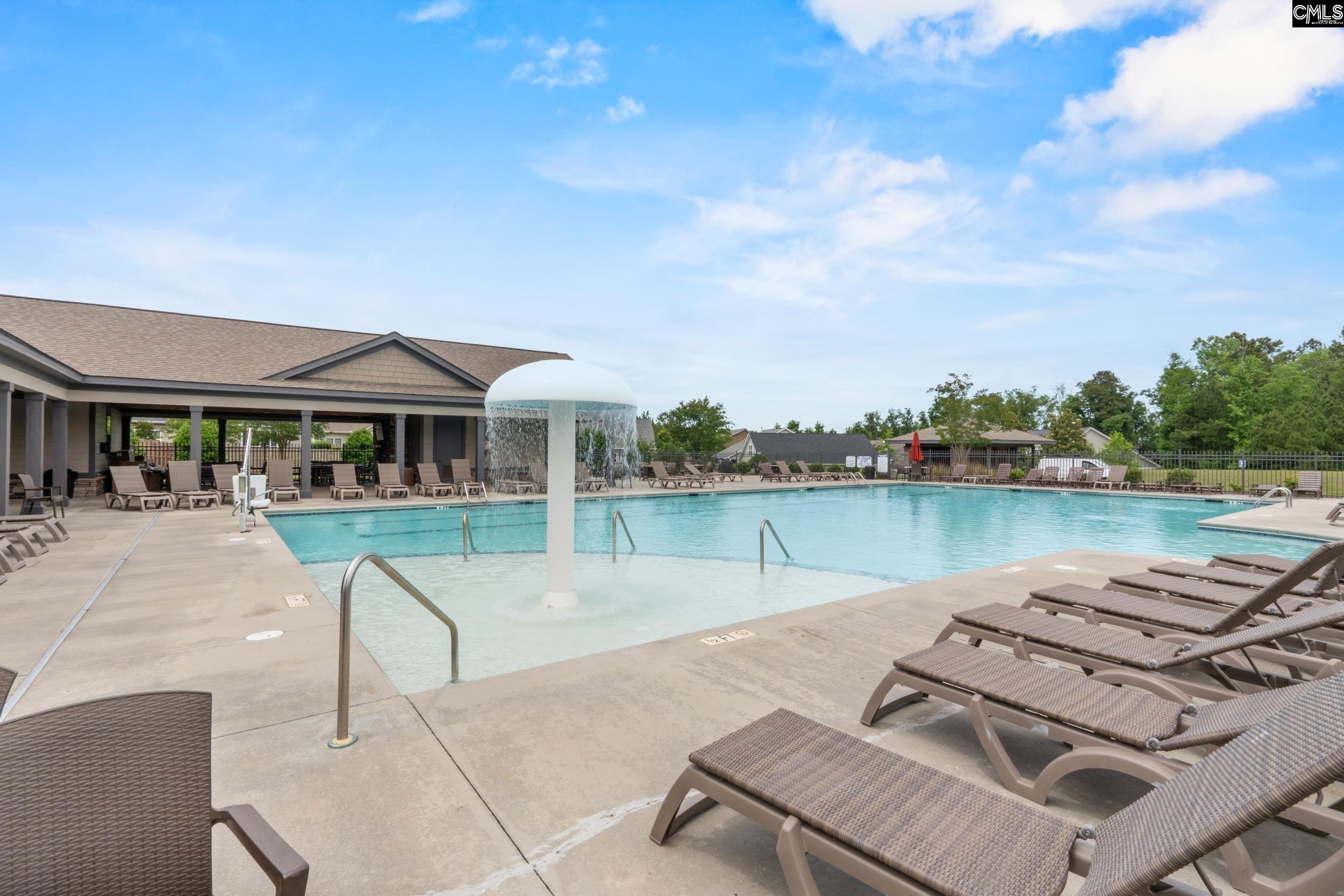 482 Malachite Lane Chapin, SC 29036