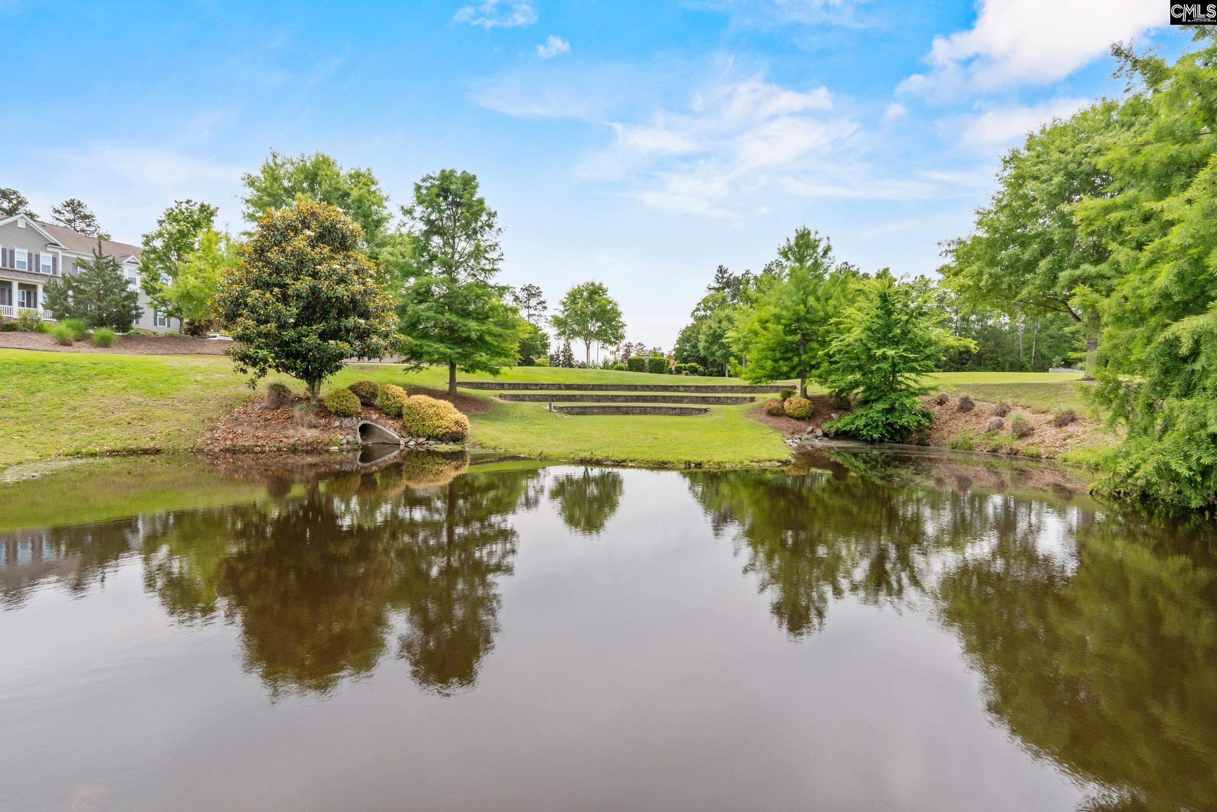 482 Malachite Lane Chapin, SC 29036