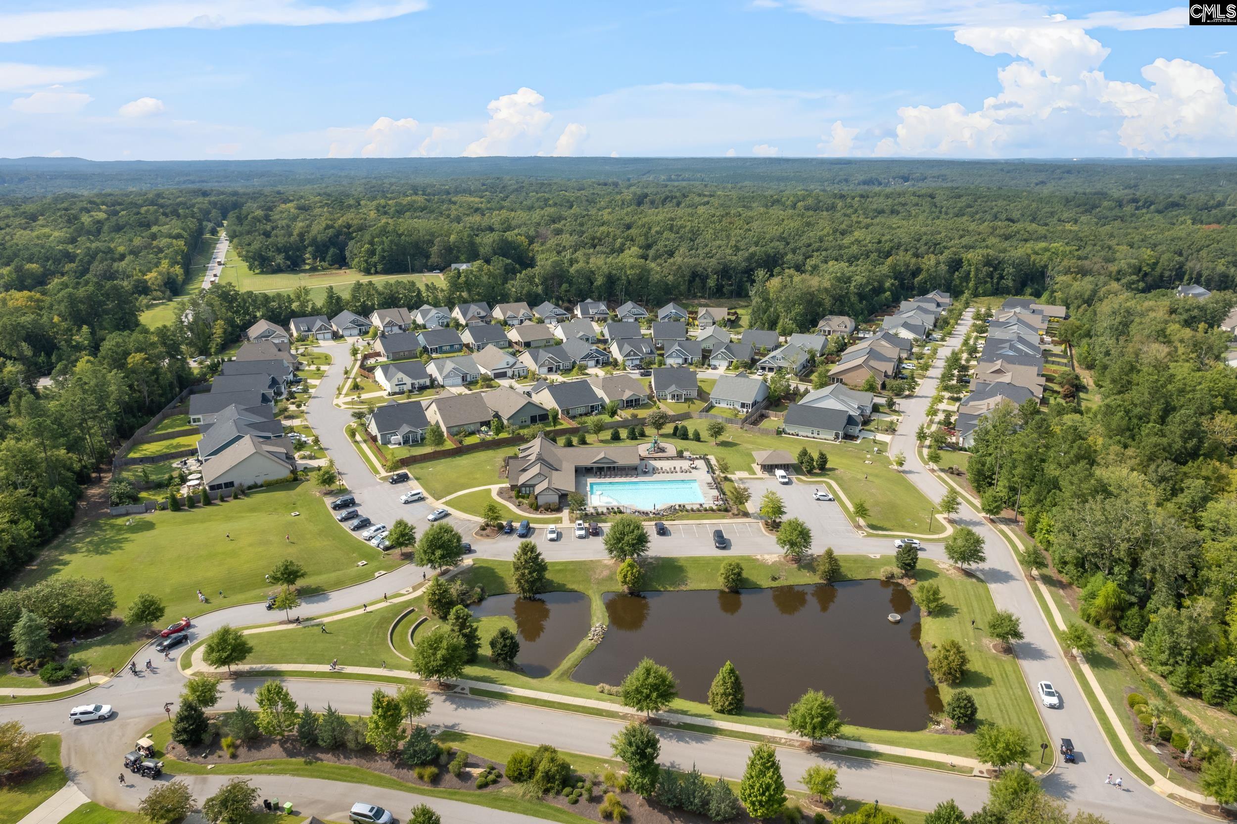 482 Malachite Lane Chapin, SC 29036