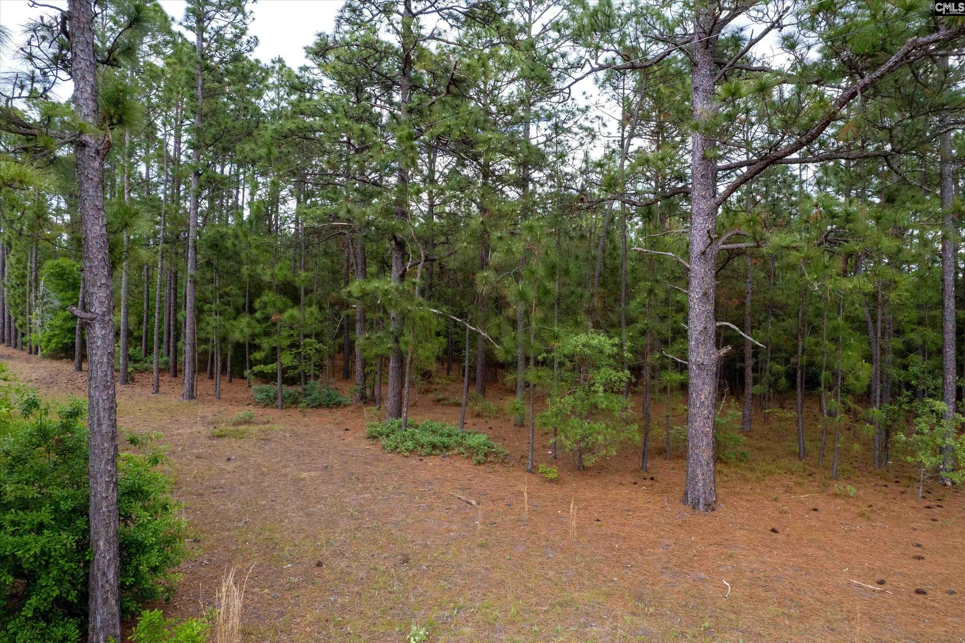 Pond Branch Road Gilbert, SC 29054